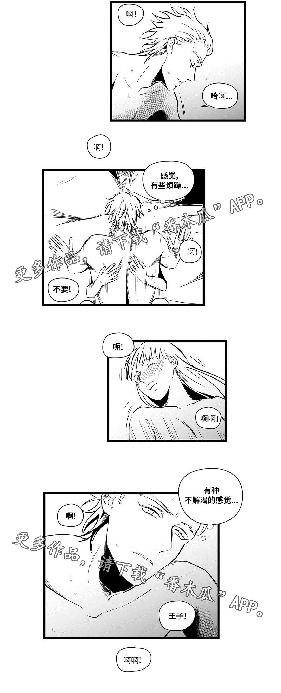 《巫师与王子》漫画最新章节第15章：迷住免费下拉式在线观看章节第【5】张图片