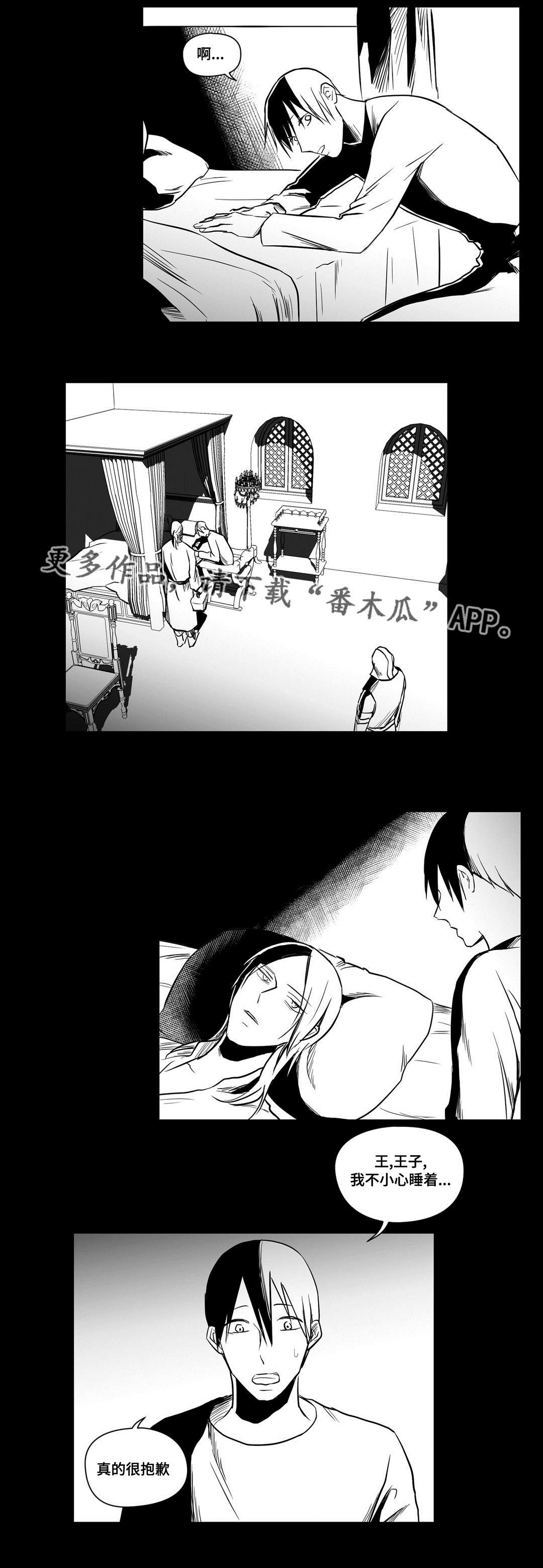 《巫师与王子》漫画最新章节第17章：最初免费下拉式在线观看章节第【15】张图片