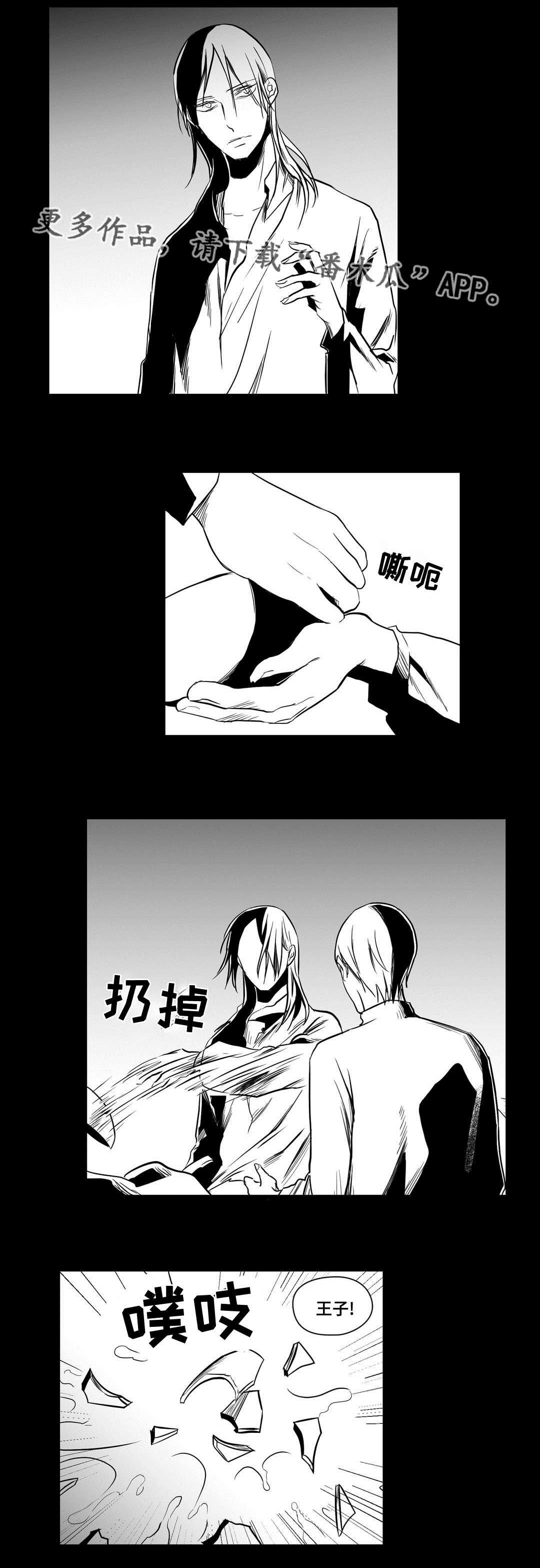 《巫师与王子》漫画最新章节第17章：最初免费下拉式在线观看章节第【9】张图片