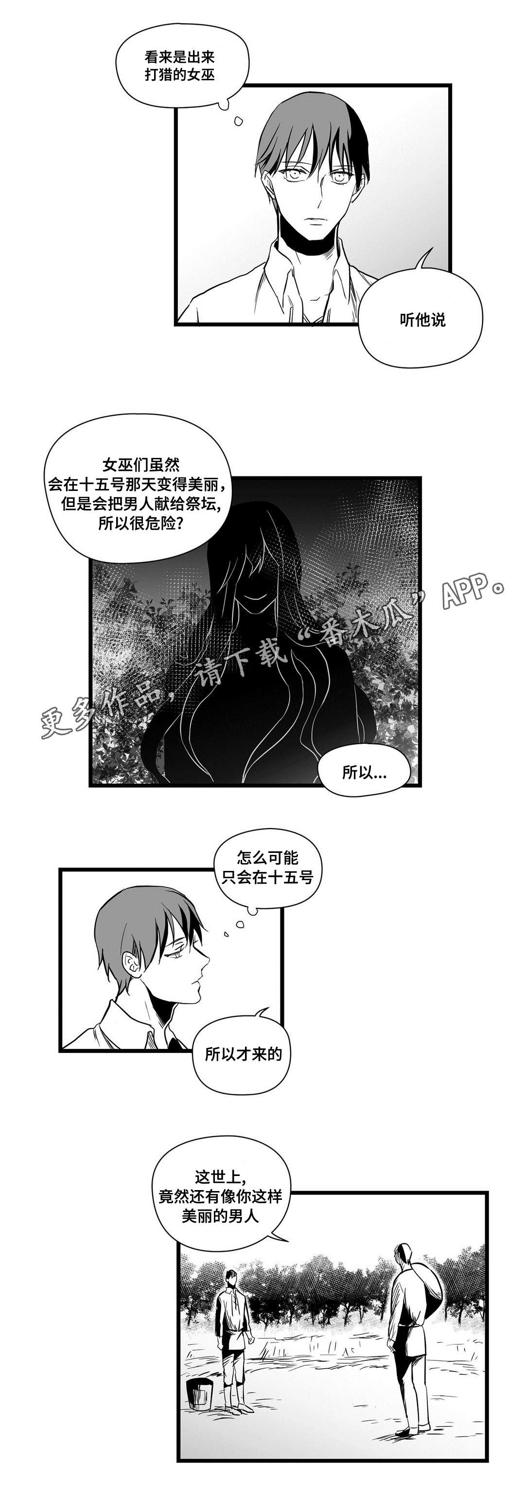 《巫师与王子》漫画最新章节第19章：打猎免费下拉式在线观看章节第【9】张图片