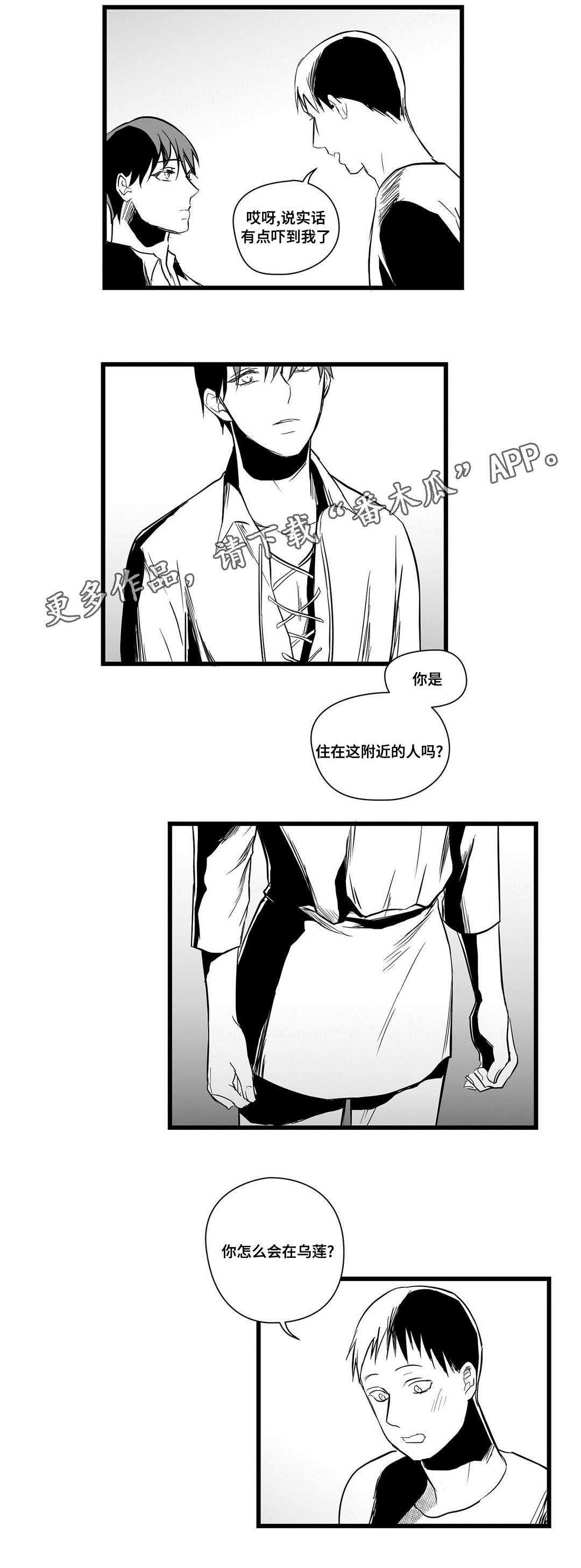 《巫师与王子》漫画最新章节第19章：打猎免费下拉式在线观看章节第【8】张图片