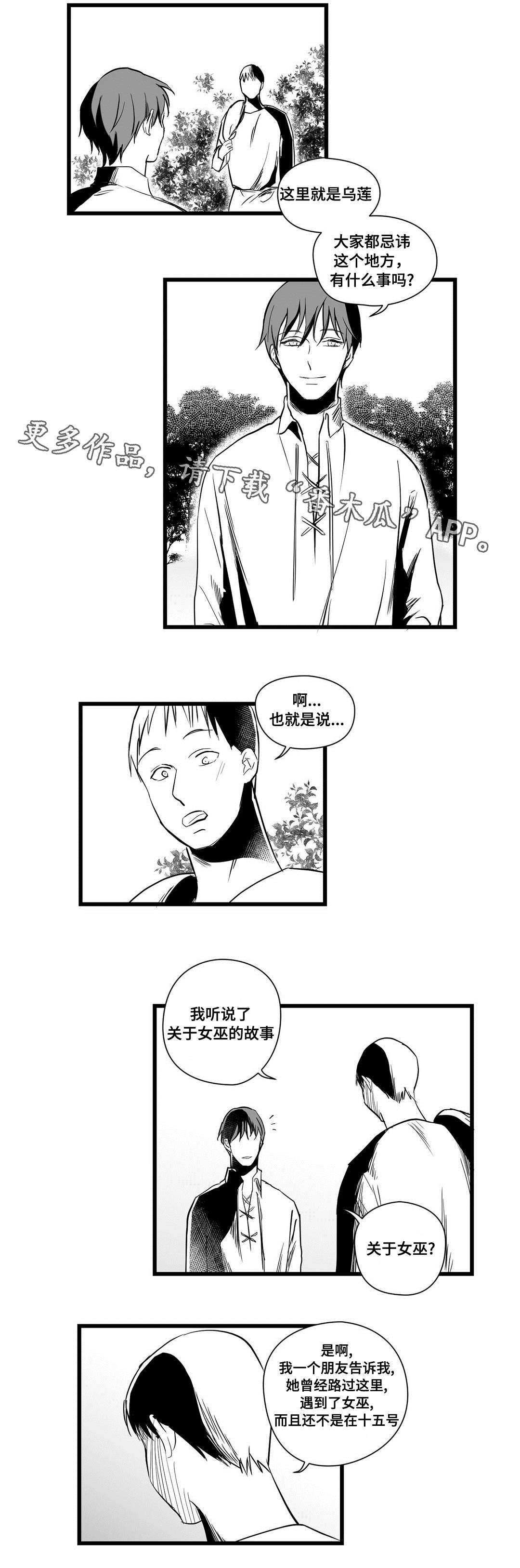 《巫师与王子》漫画最新章节第19章：打猎免费下拉式在线观看章节第【10】张图片