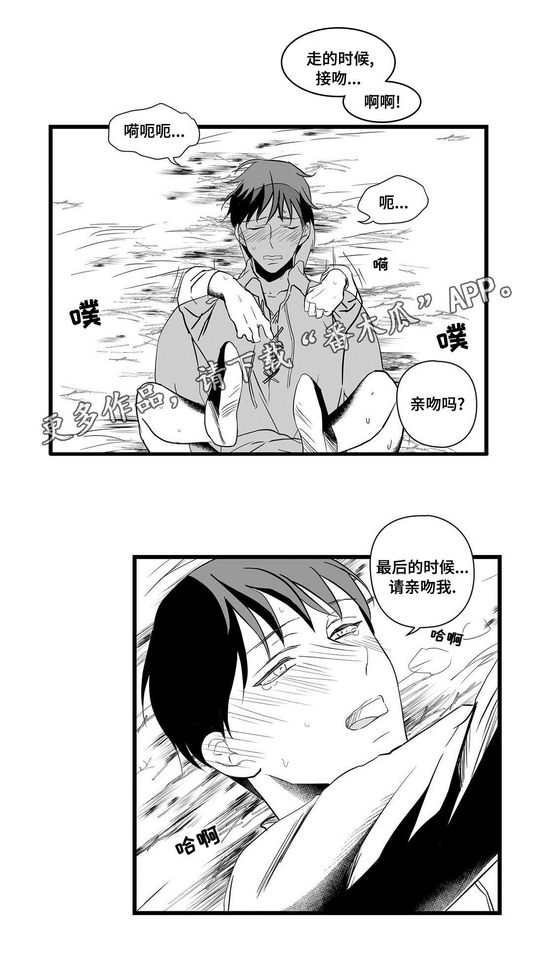 《巫师与王子》漫画最新章节第21章：合作免费下拉式在线观看章节第【8】张图片