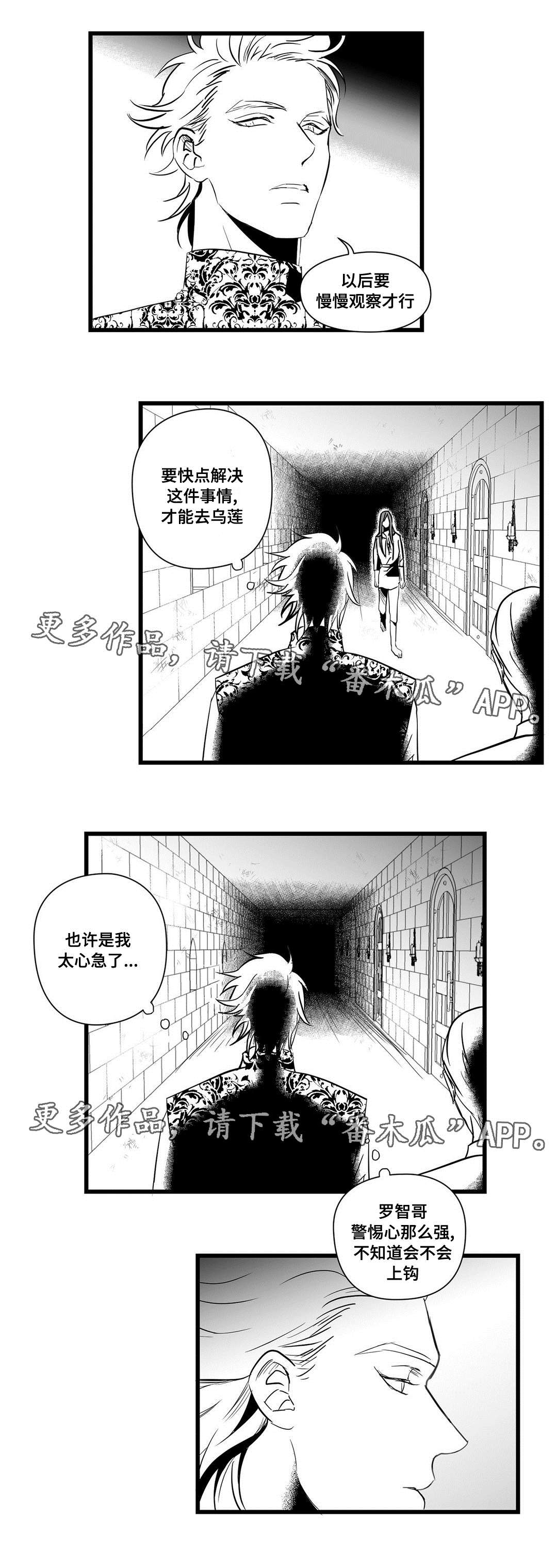 巫师与王子-第21章：合作全彩韩漫标签