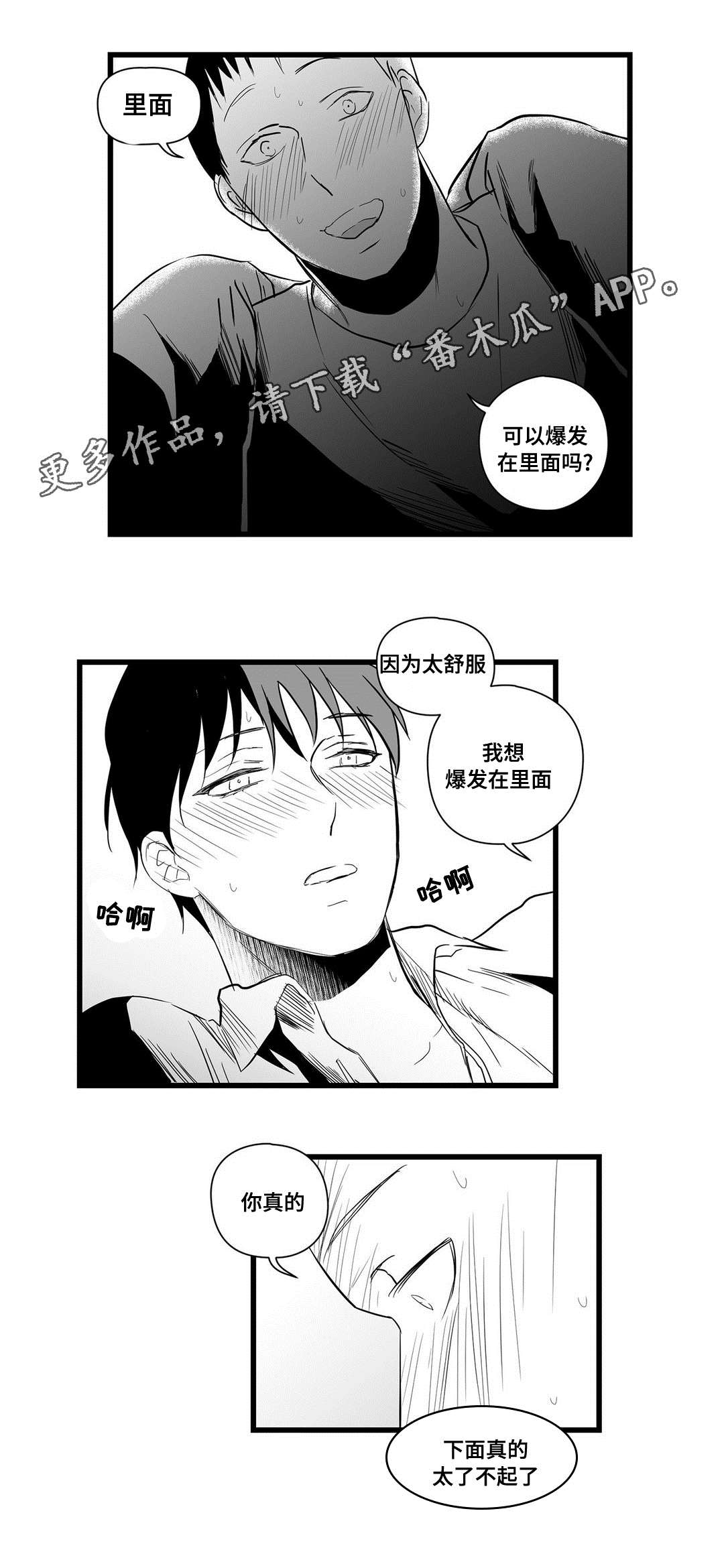 《巫师与王子》漫画最新章节第21章：合作免费下拉式在线观看章节第【10】张图片