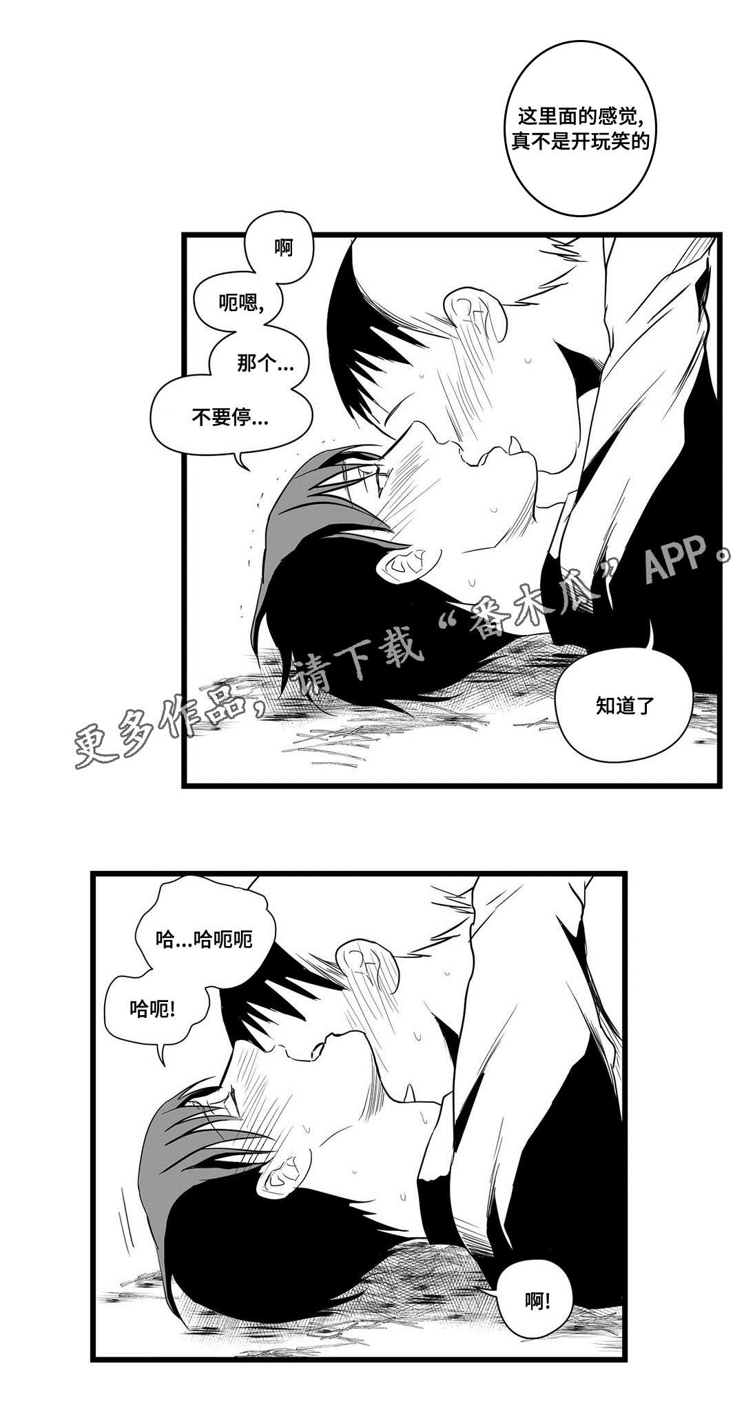 《巫师与王子》漫画最新章节第21章：合作免费下拉式在线观看章节第【12】张图片