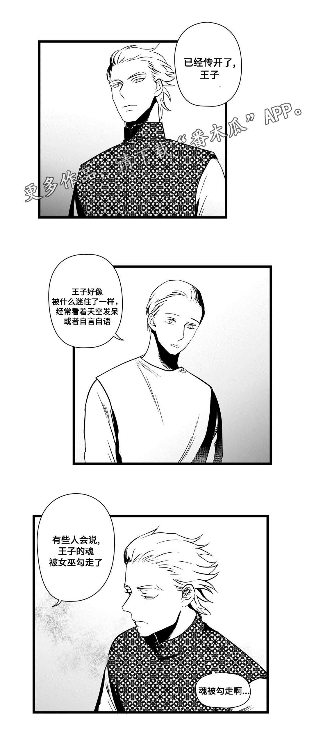 《巫师与王子》漫画最新章节第22章：确认免费下拉式在线观看章节第【13】张图片