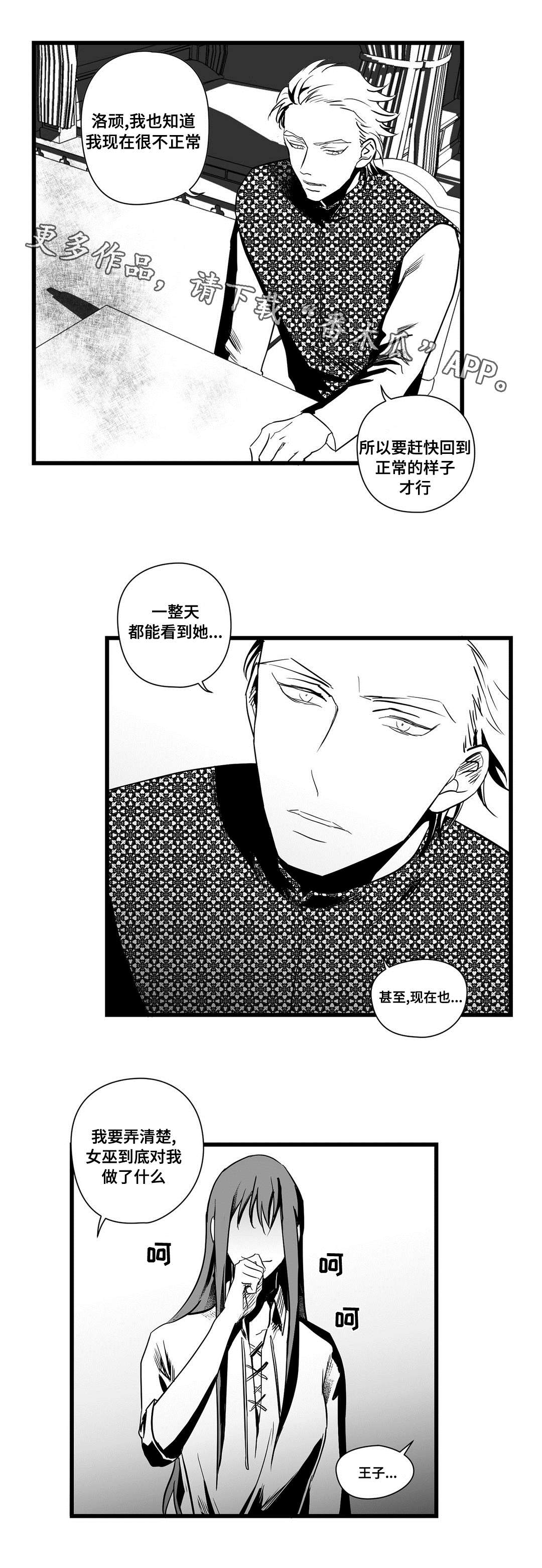 《巫师与王子》漫画最新章节第22章：确认免费下拉式在线观看章节第【8】张图片