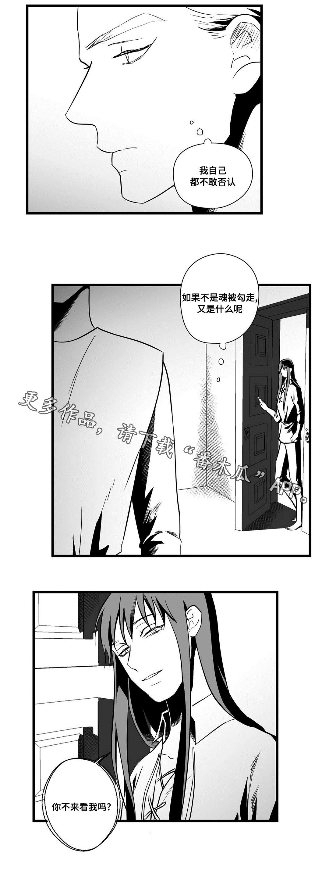 《巫师与王子》漫画最新章节第22章：确认免费下拉式在线观看章节第【12】张图片