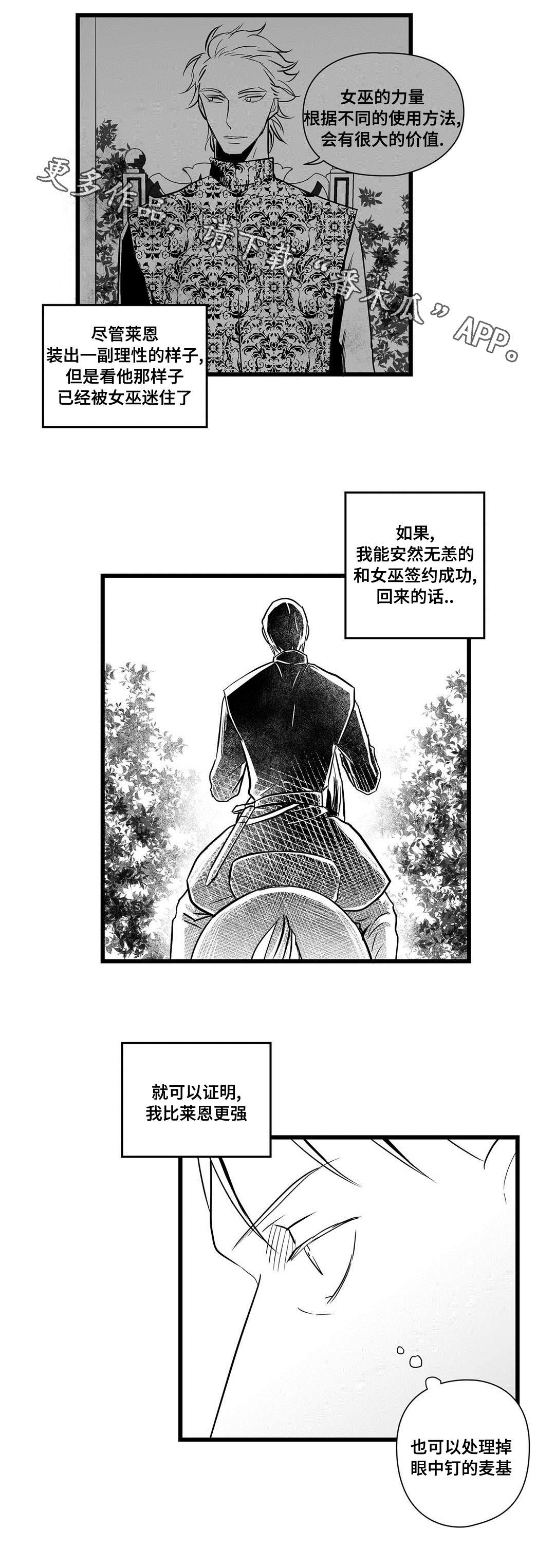 《巫师与王子》漫画最新章节第23章：证明免费下拉式在线观看章节第【8】张图片