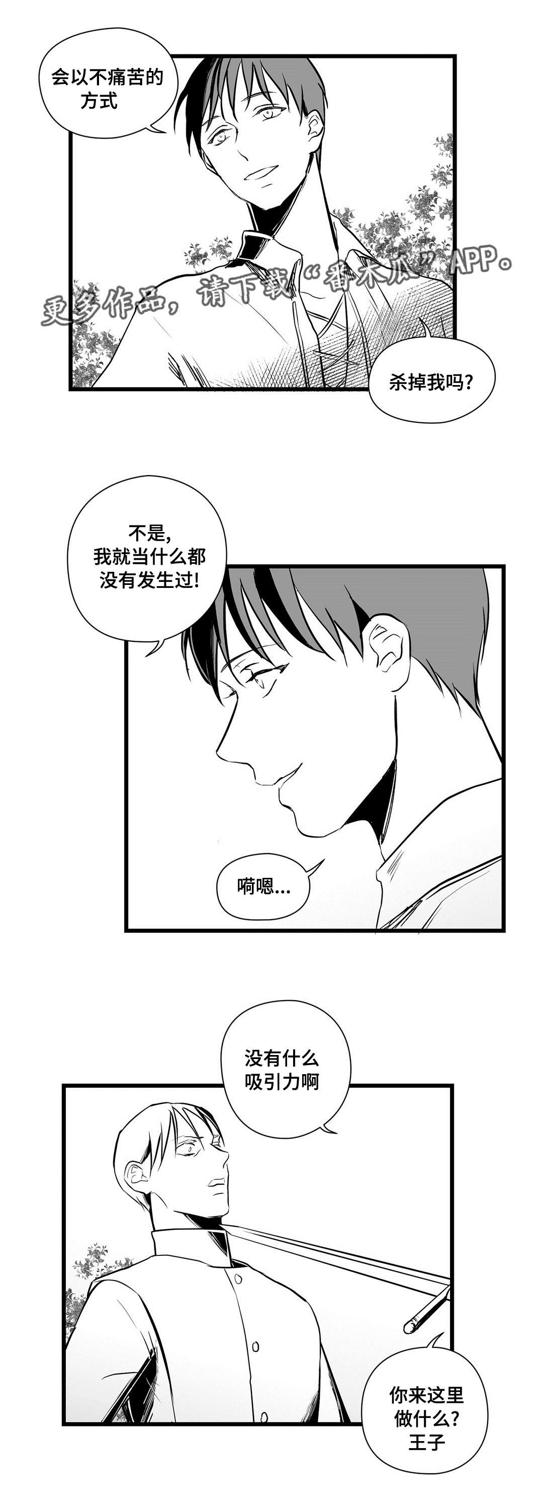 《巫师与王子》漫画最新章节第24章：诡异免费下拉式在线观看章节第【3】张图片