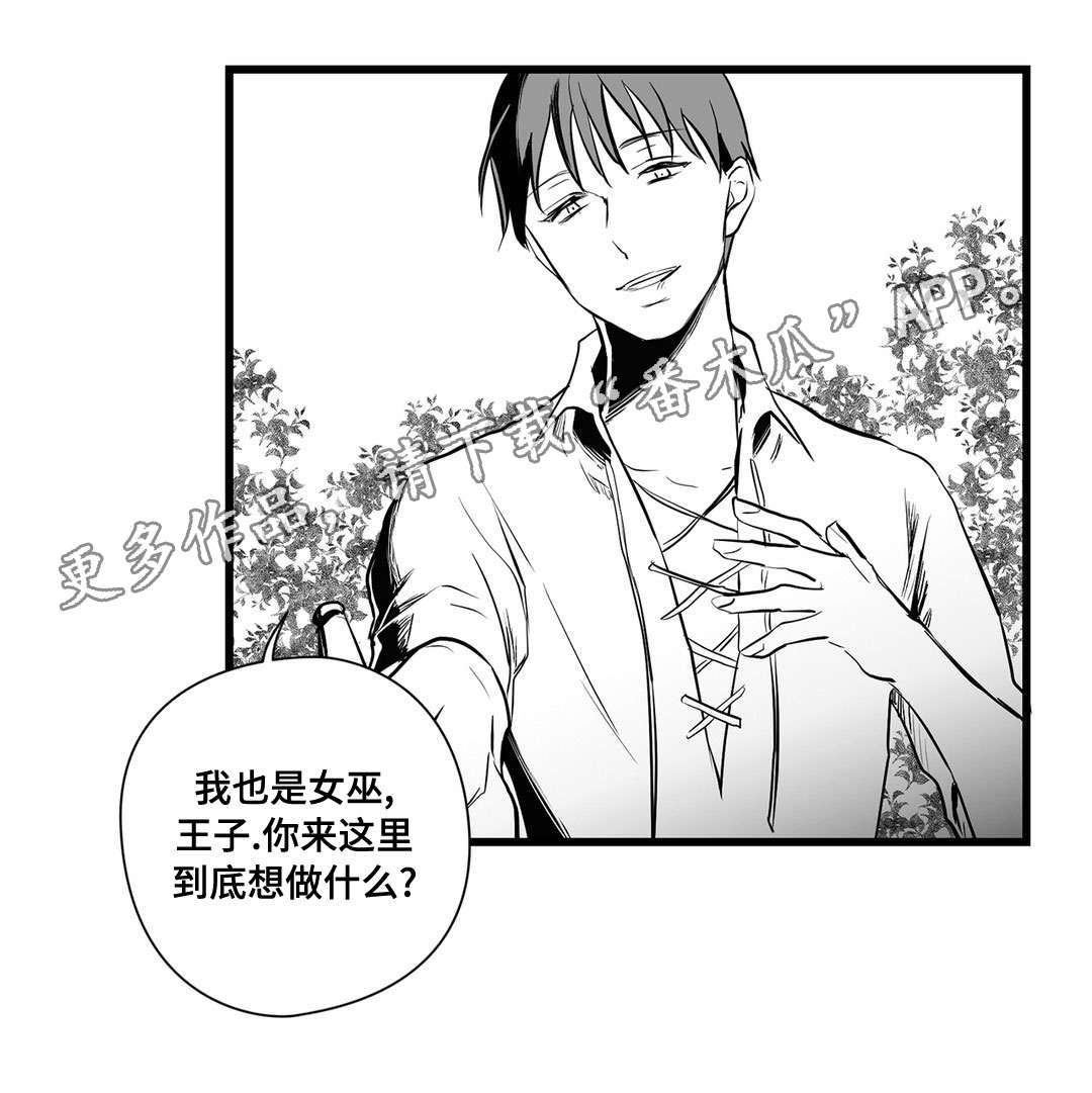 《巫师与王子》漫画最新章节第24章：诡异免费下拉式在线观看章节第【1】张图片