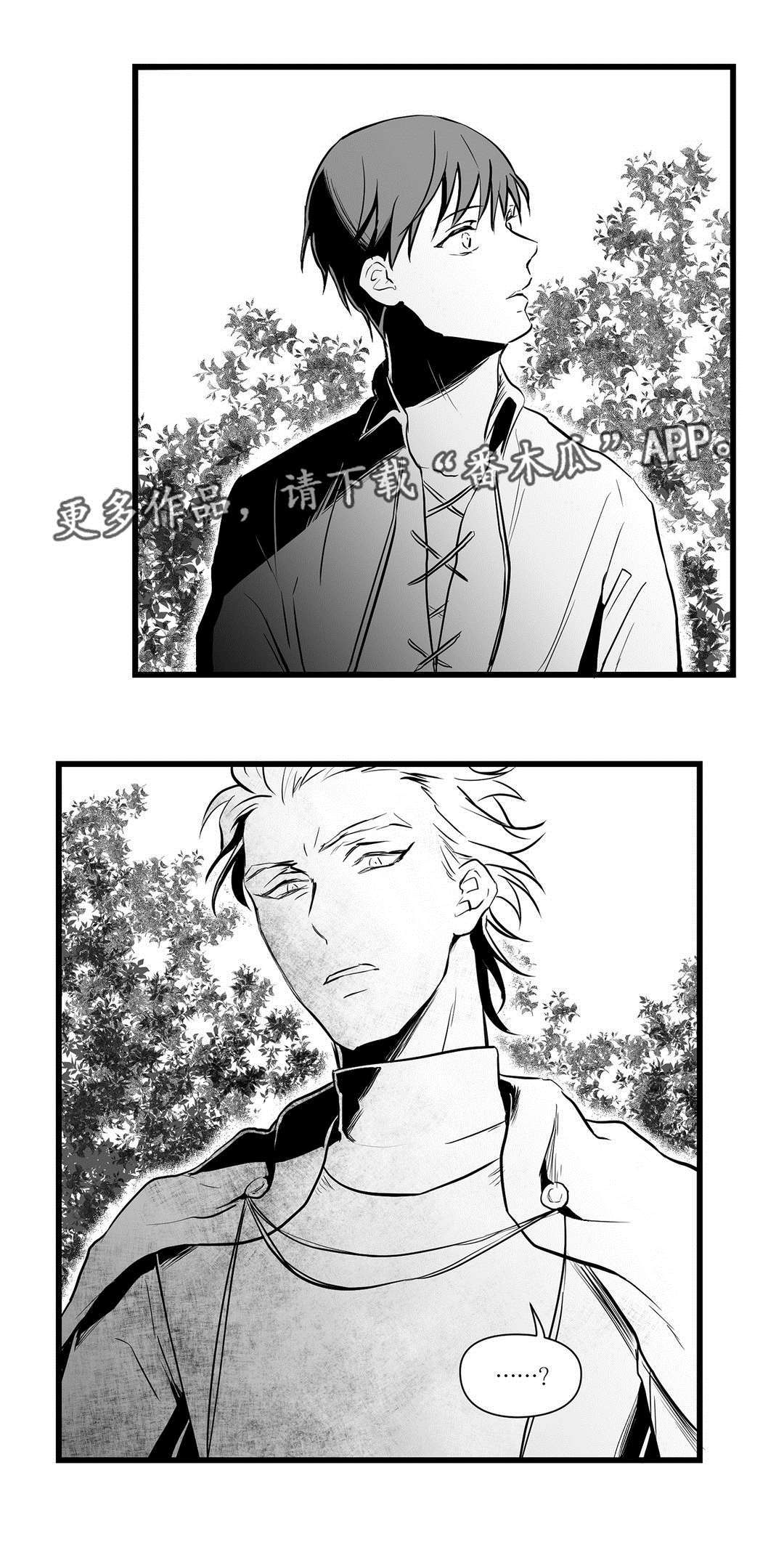 《巫师与王子》漫画最新章节第25章：毒药免费下拉式在线观看章节第【1】张图片