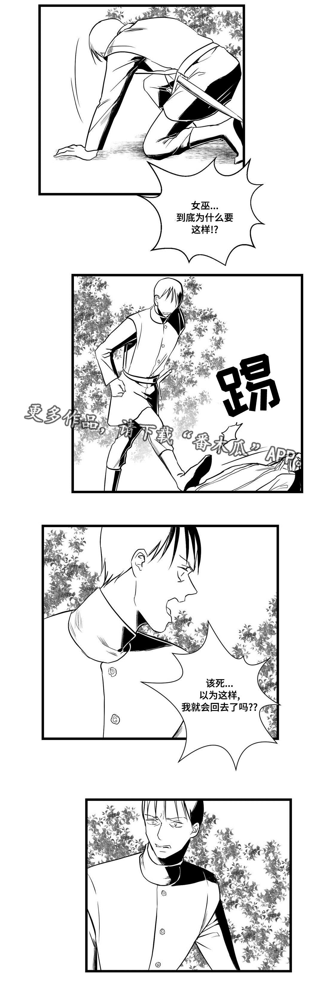 《巫师与王子》漫画最新章节第26章：吓唬免费下拉式在线观看章节第【3】张图片