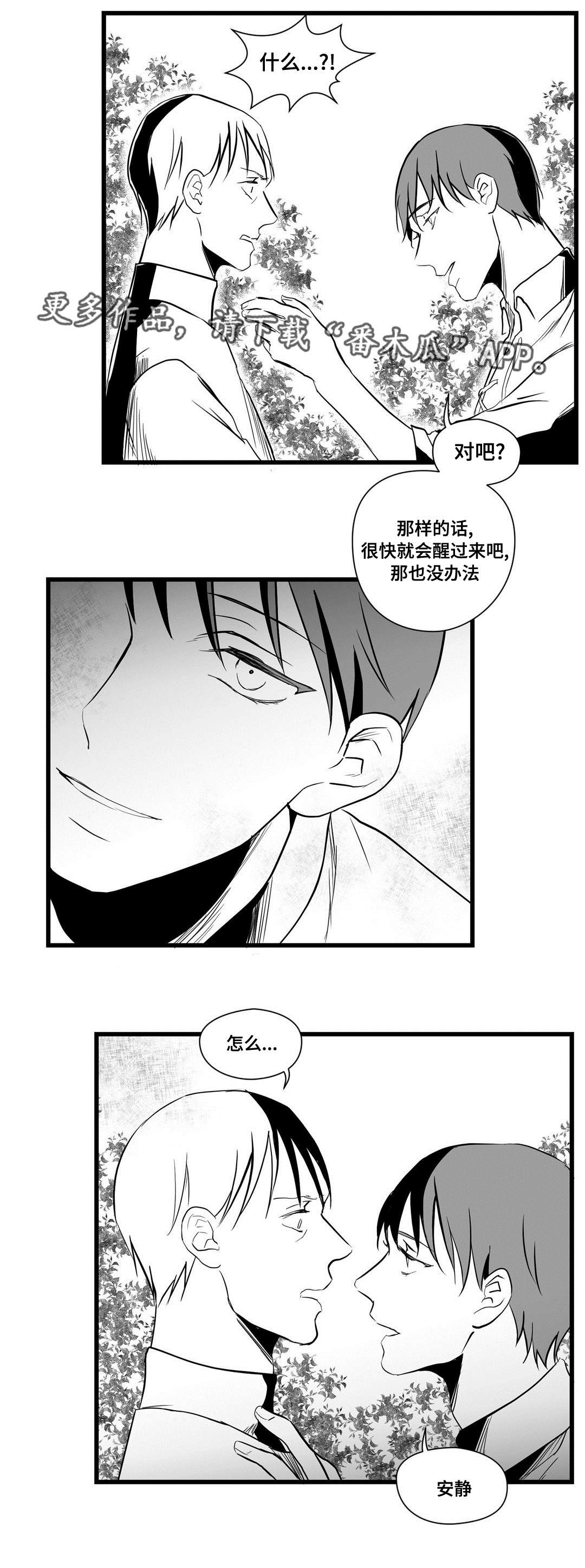 《巫师与王子》漫画最新章节第27章：犯人免费下拉式在线观看章节第【12】张图片