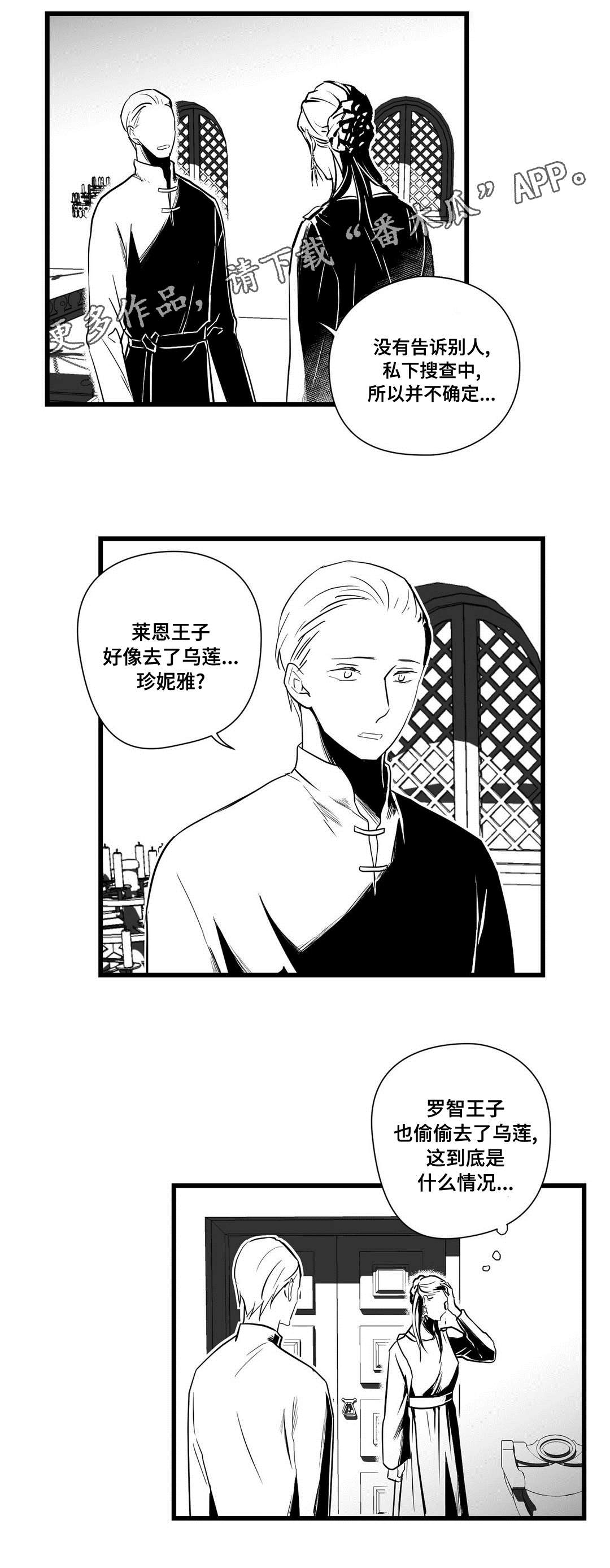 《巫师与王子》漫画最新章节第27章：犯人免费下拉式在线观看章节第【10】张图片