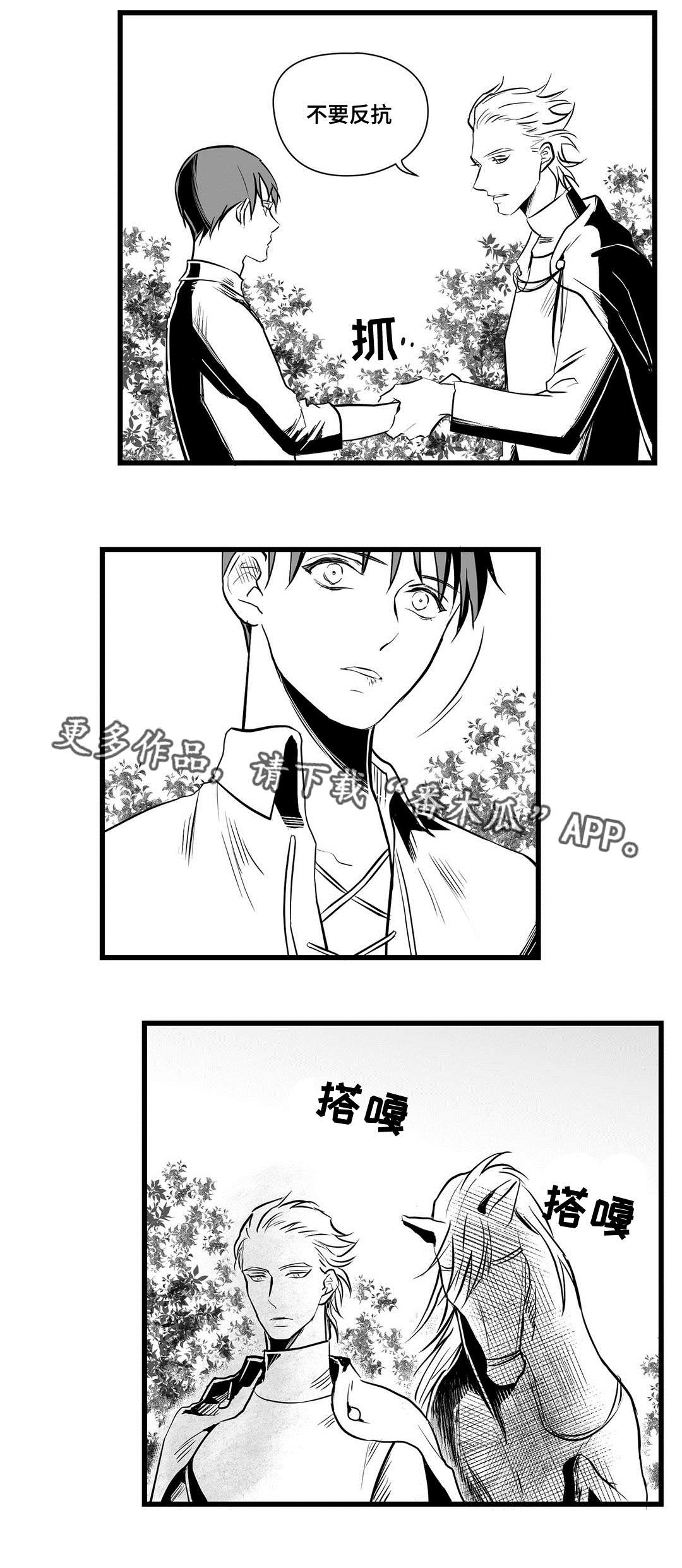 《巫师与王子》漫画最新章节第27章：犯人免费下拉式在线观看章节第【3】张图片