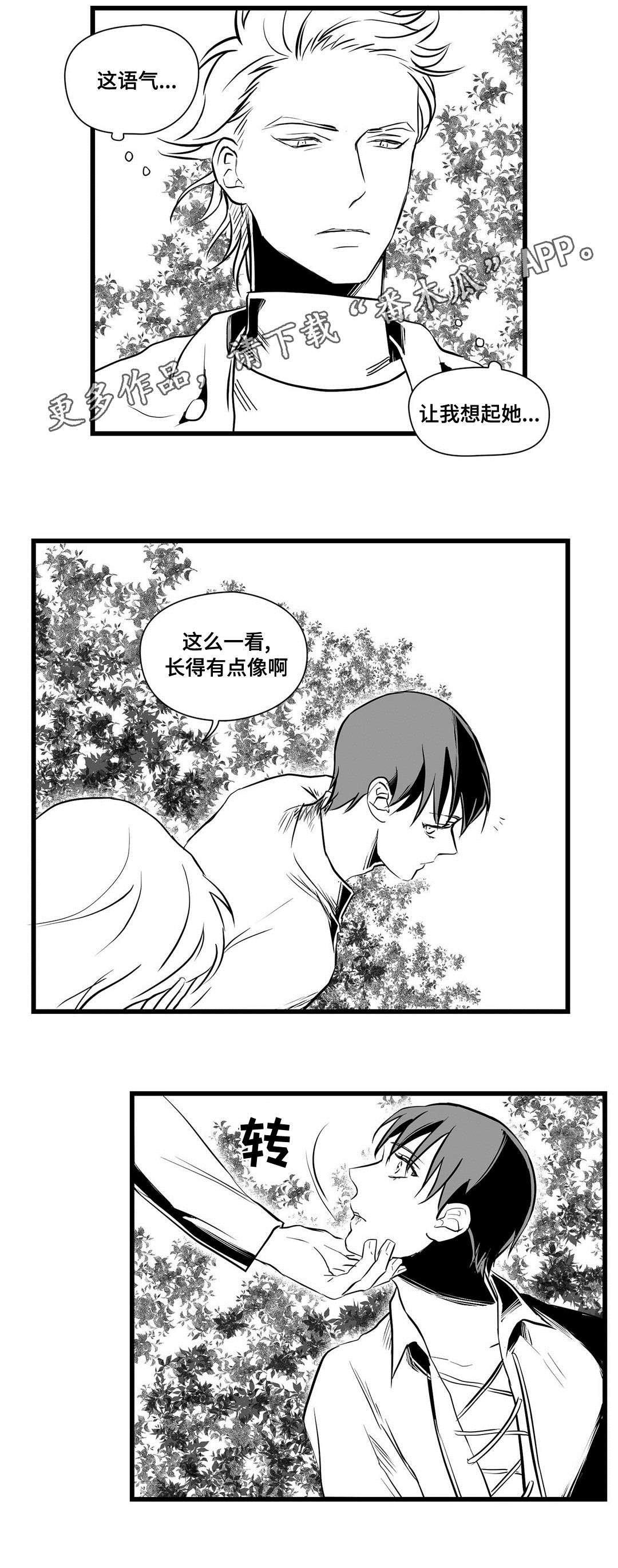 《巫师与王子》漫画最新章节第28章：收获免费下拉式在线观看章节第【8】张图片