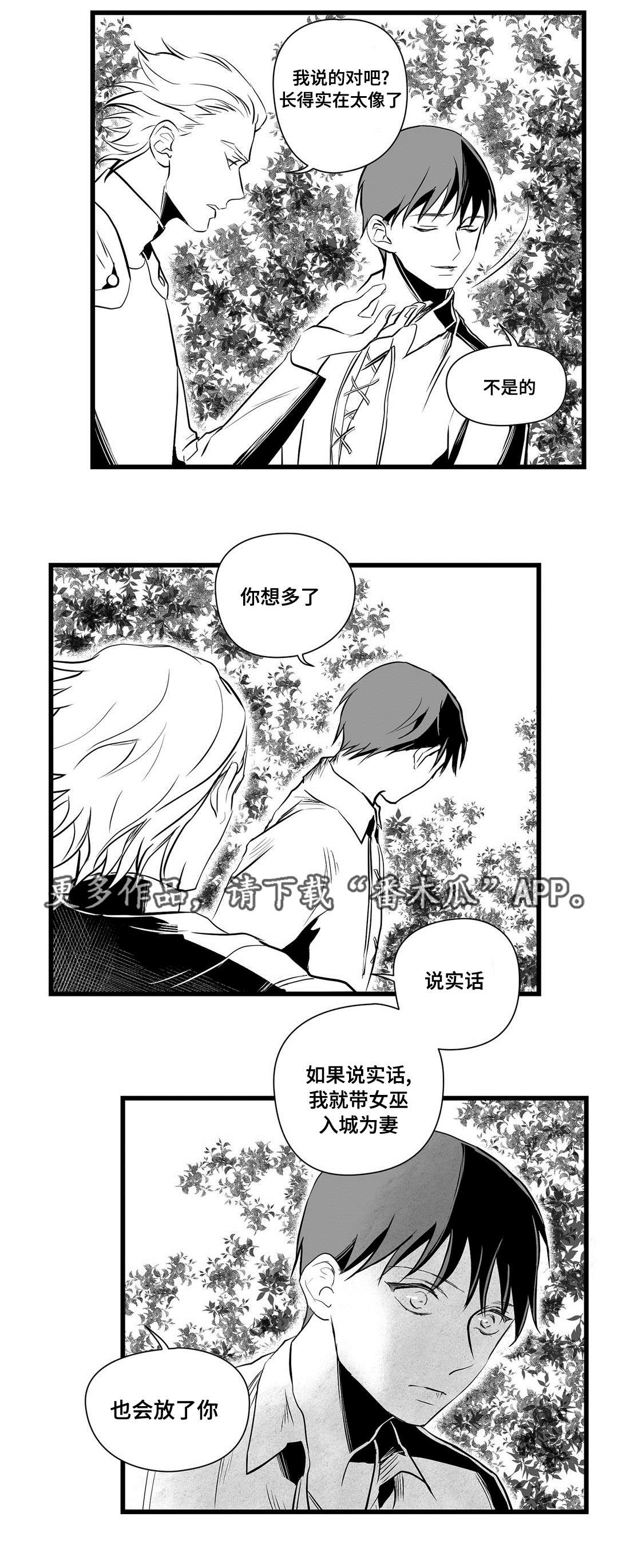 《巫师与王子》漫画最新章节第28章：收获免费下拉式在线观看章节第【6】张图片