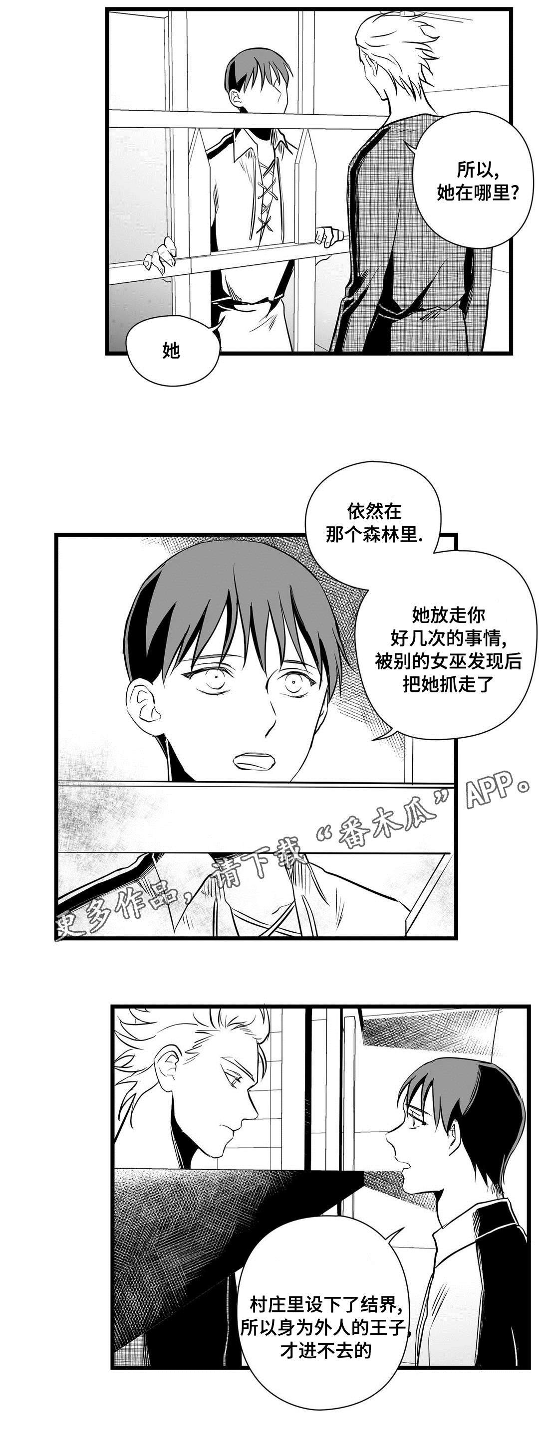 《巫师与王子》漫画最新章节第31章：那个女人免费下拉式在线观看章节第【4】张图片