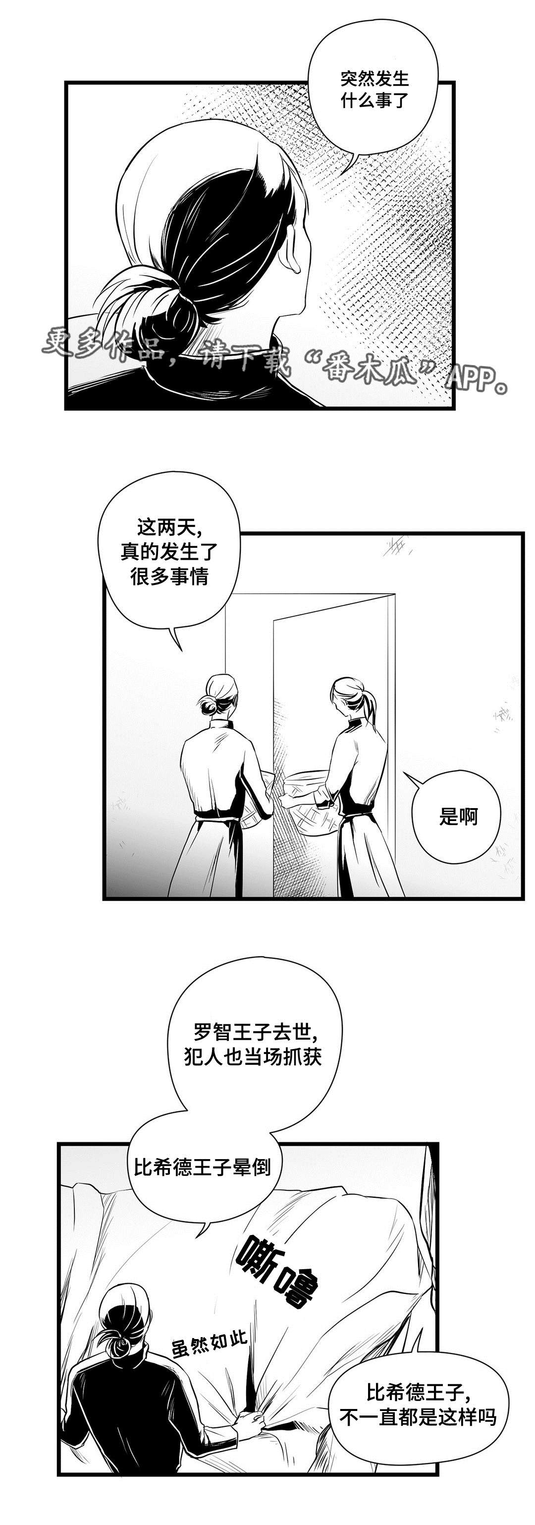 《巫师与王子》漫画最新章节第32章：猜想免费下拉式在线观看章节第【17】张图片