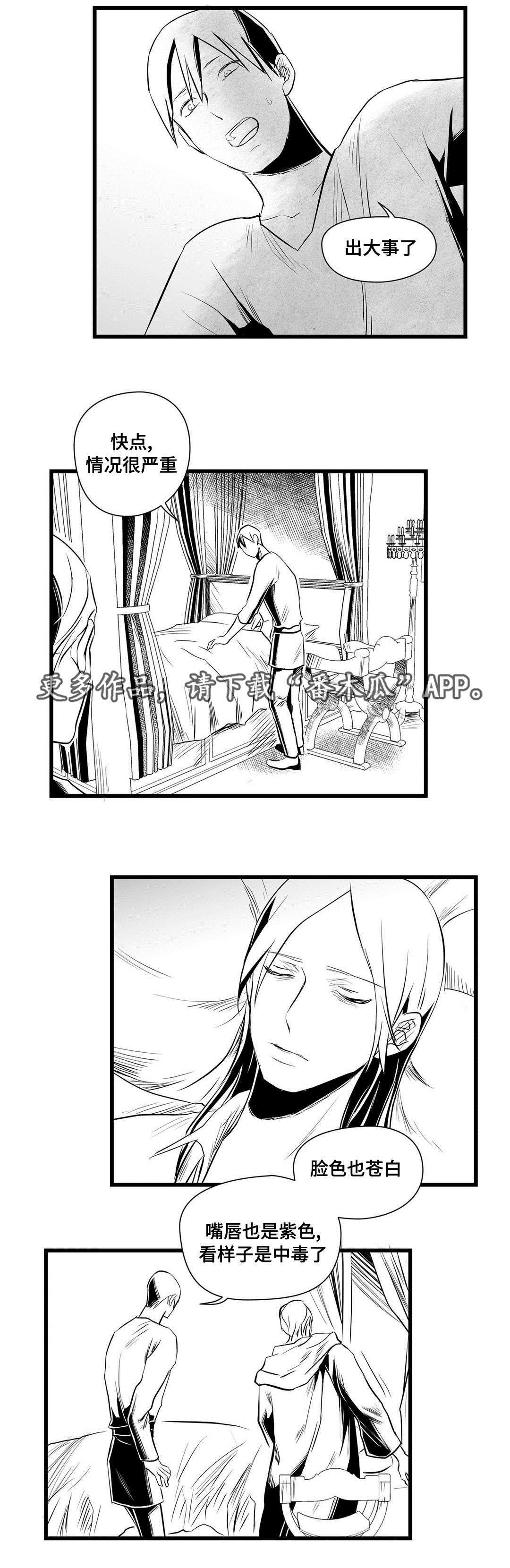 《巫师与王子》漫画最新章节第32章：猜想免费下拉式在线观看章节第【8】张图片