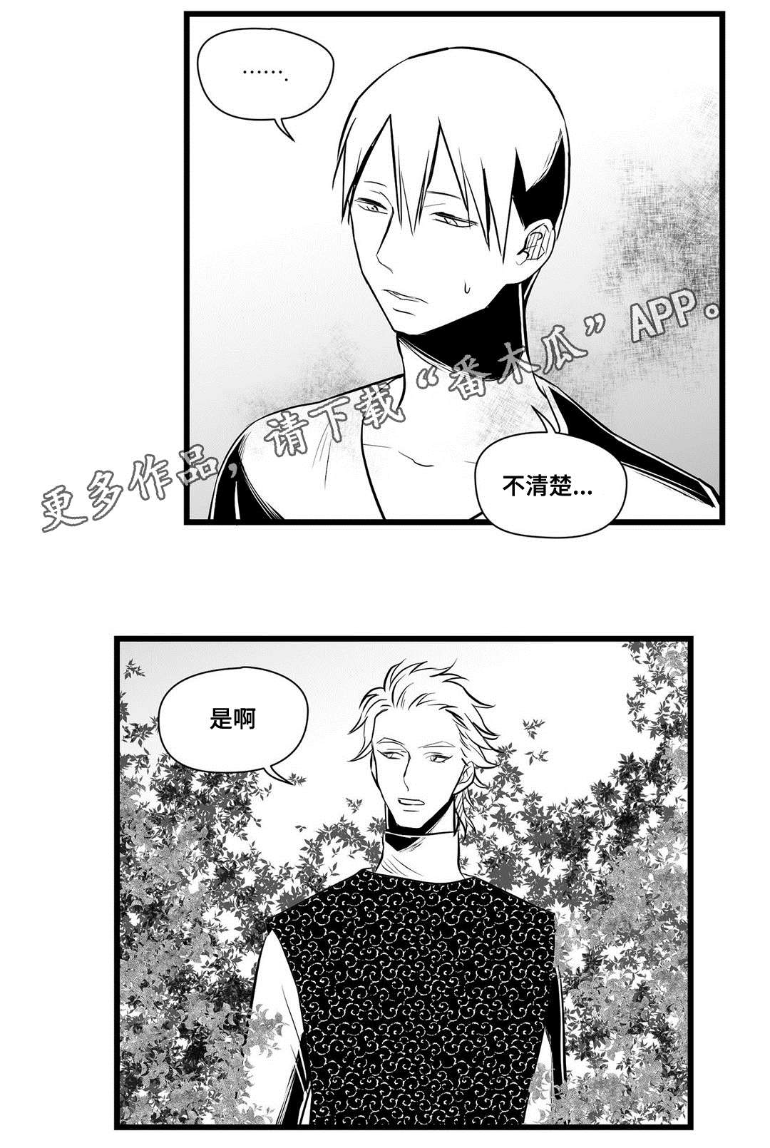 《巫师与王子》漫画最新章节第32章：猜想免费下拉式在线观看章节第【5】张图片