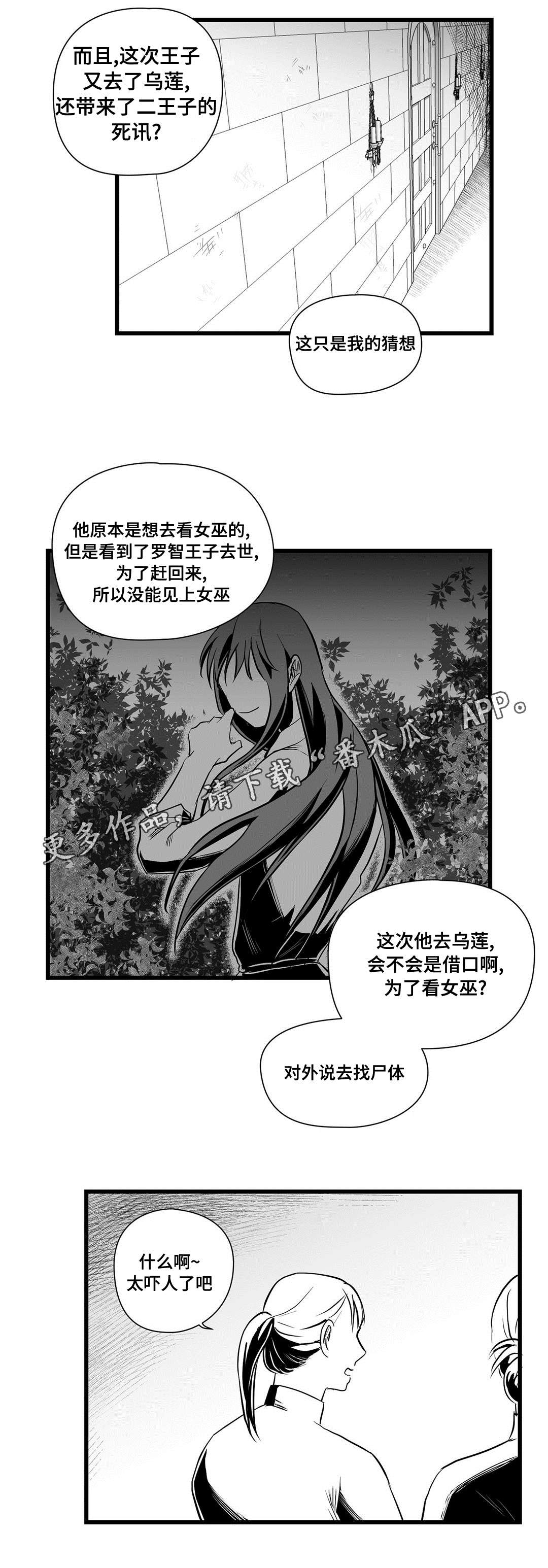 《巫师与王子》漫画最新章节第32章：猜想免费下拉式在线观看章节第【14】张图片