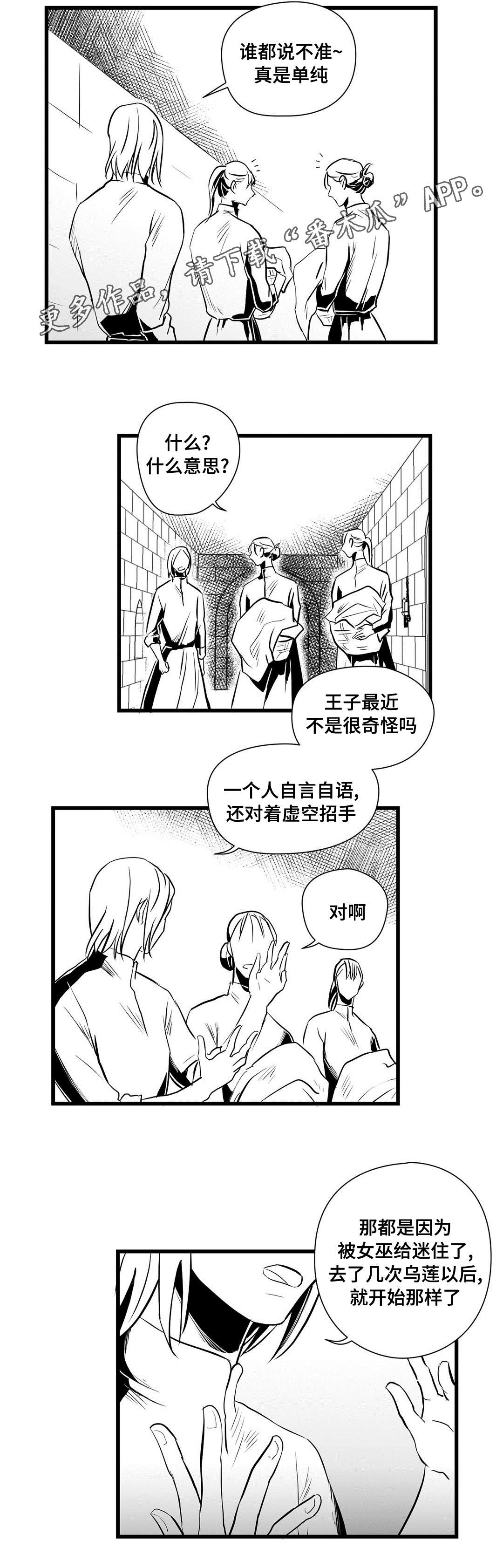 《巫师与王子》漫画最新章节第32章：猜想免费下拉式在线观看章节第【15】张图片