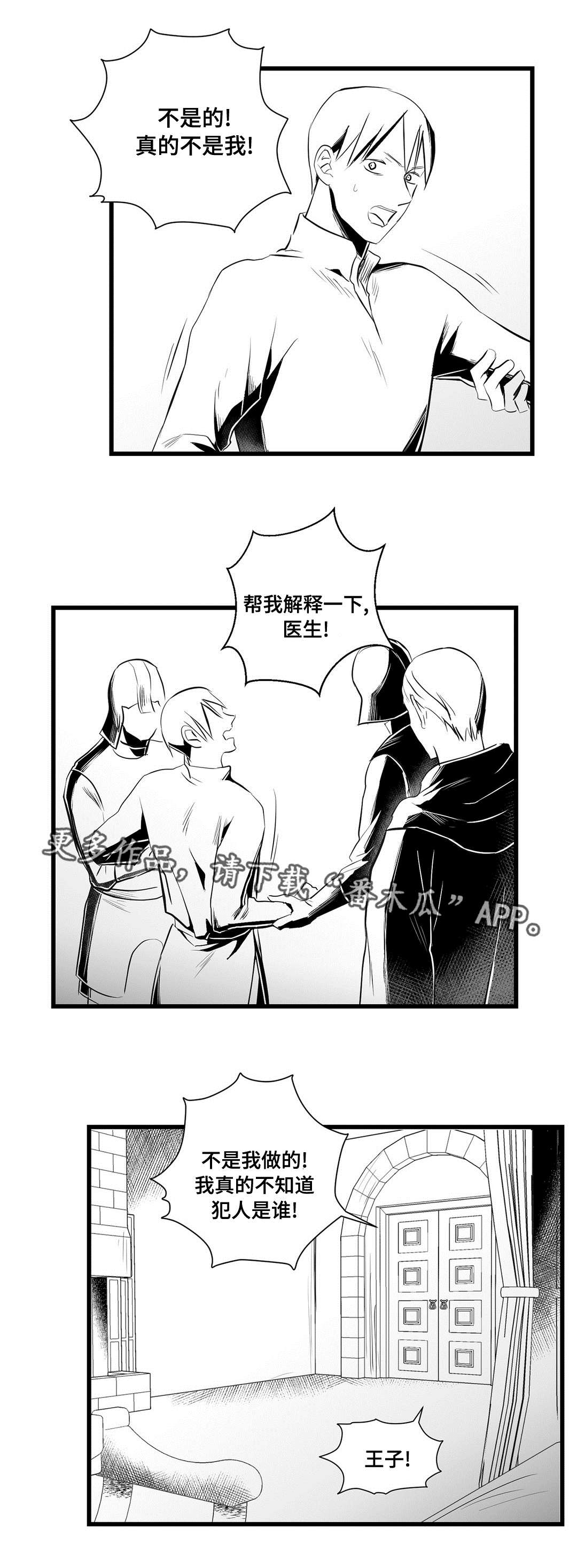 《巫师与王子》漫画最新章节第34章：下毒免费下拉式在线观看章节第【1】张图片