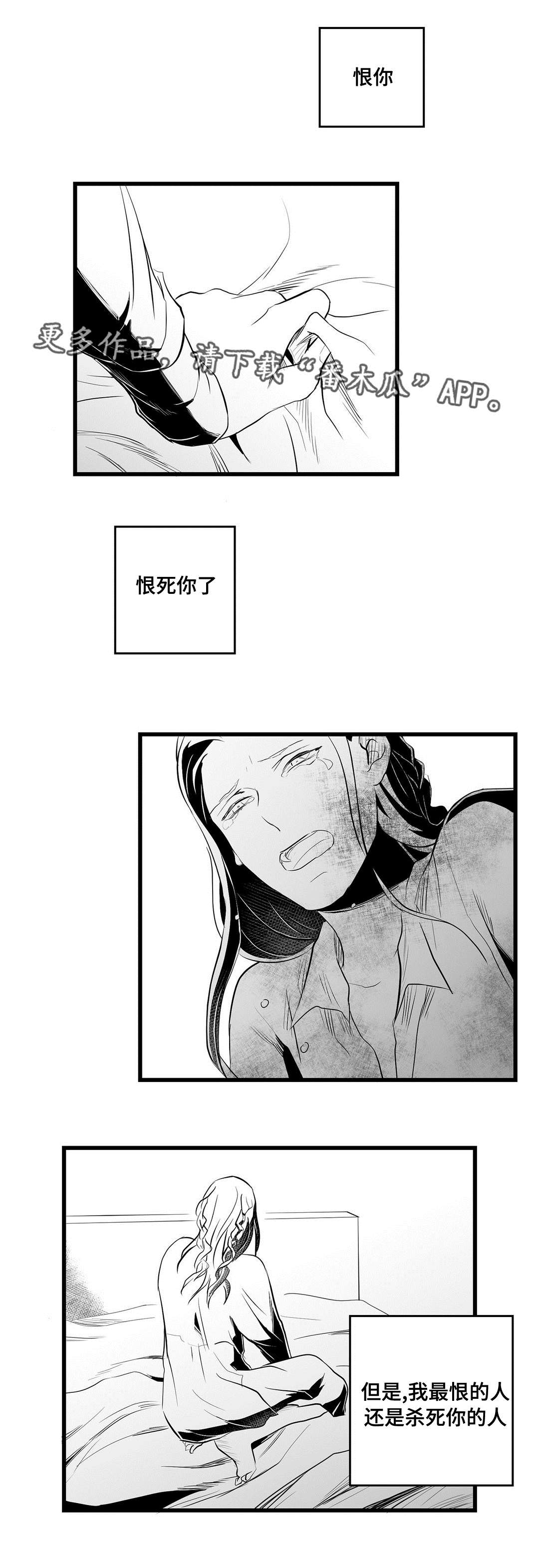 《巫师与王子》漫画最新章节第34章：下毒免费下拉式在线观看章节第【8】张图片