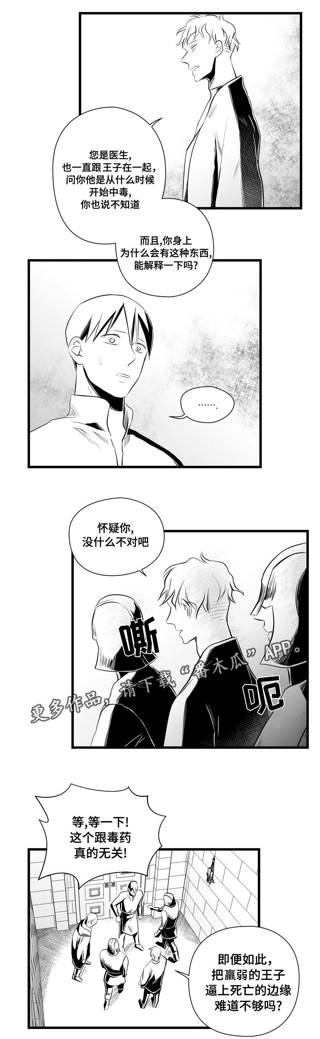 《巫师与王子》漫画最新章节第34章：下毒免费下拉式在线观看章节第【2】张图片