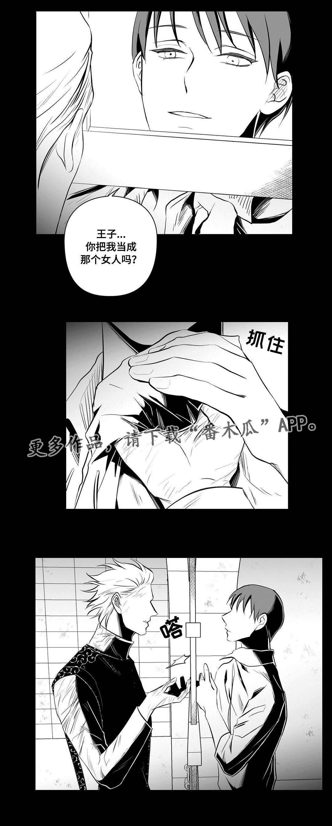 《巫师与王子》漫画最新章节第35章：一模一样免费下拉式在线观看章节第【9】张图片