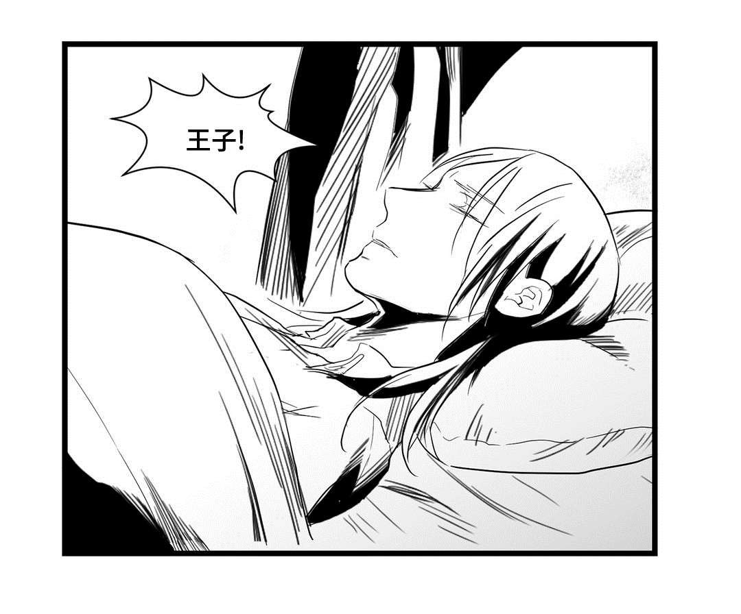 《巫师与王子》漫画最新章节第35章：一模一样免费下拉式在线观看章节第【16】张图片