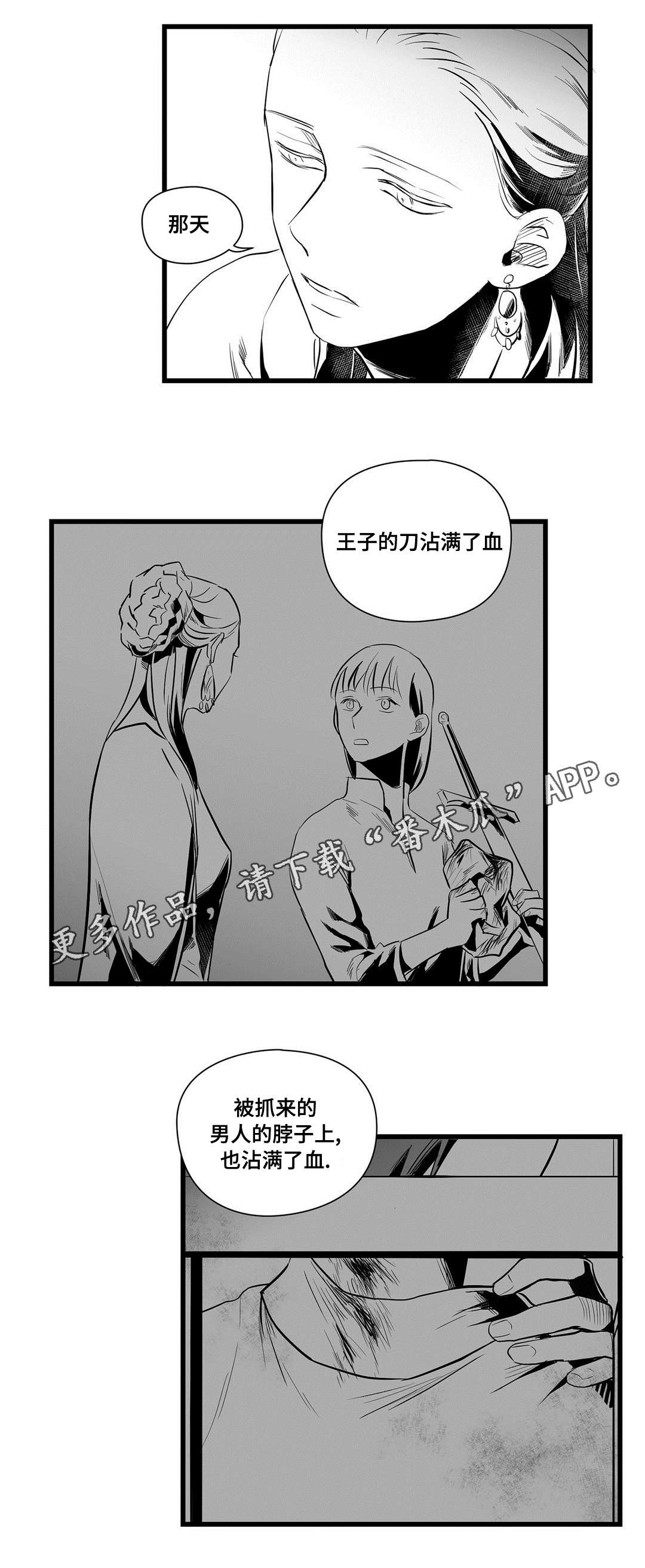 《巫师与王子》漫画最新章节第36章：隐瞒着什么免费下拉式在线观看章节第【5】张图片