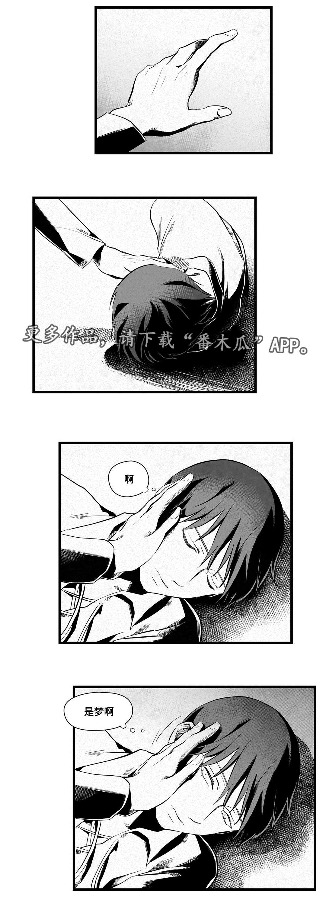 《巫师与王子》漫画最新章节第36章：隐瞒着什么免费下拉式在线观看章节第【13】张图片