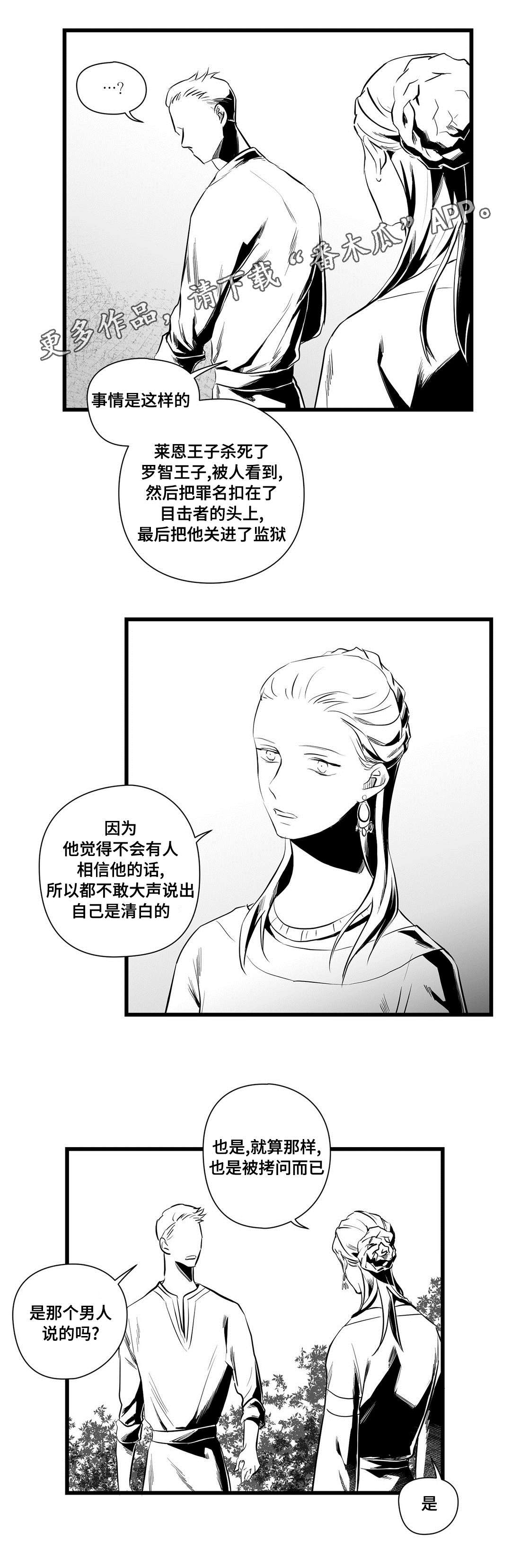 《巫师与王子》漫画最新章节第36章：隐瞒着什么免费下拉式在线观看章节第【6】张图片