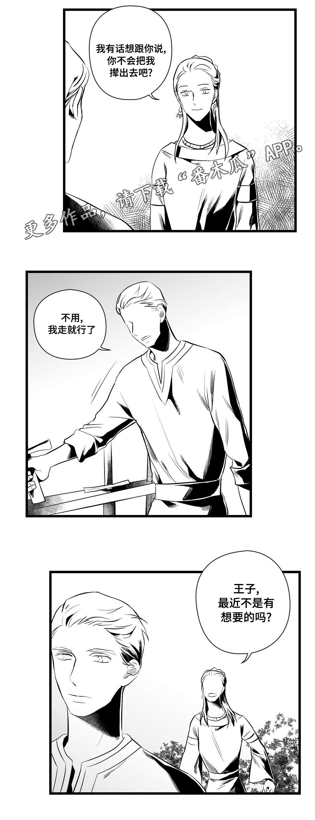 《巫师与王子》漫画最新章节第36章：隐瞒着什么免费下拉式在线观看章节第【9】张图片