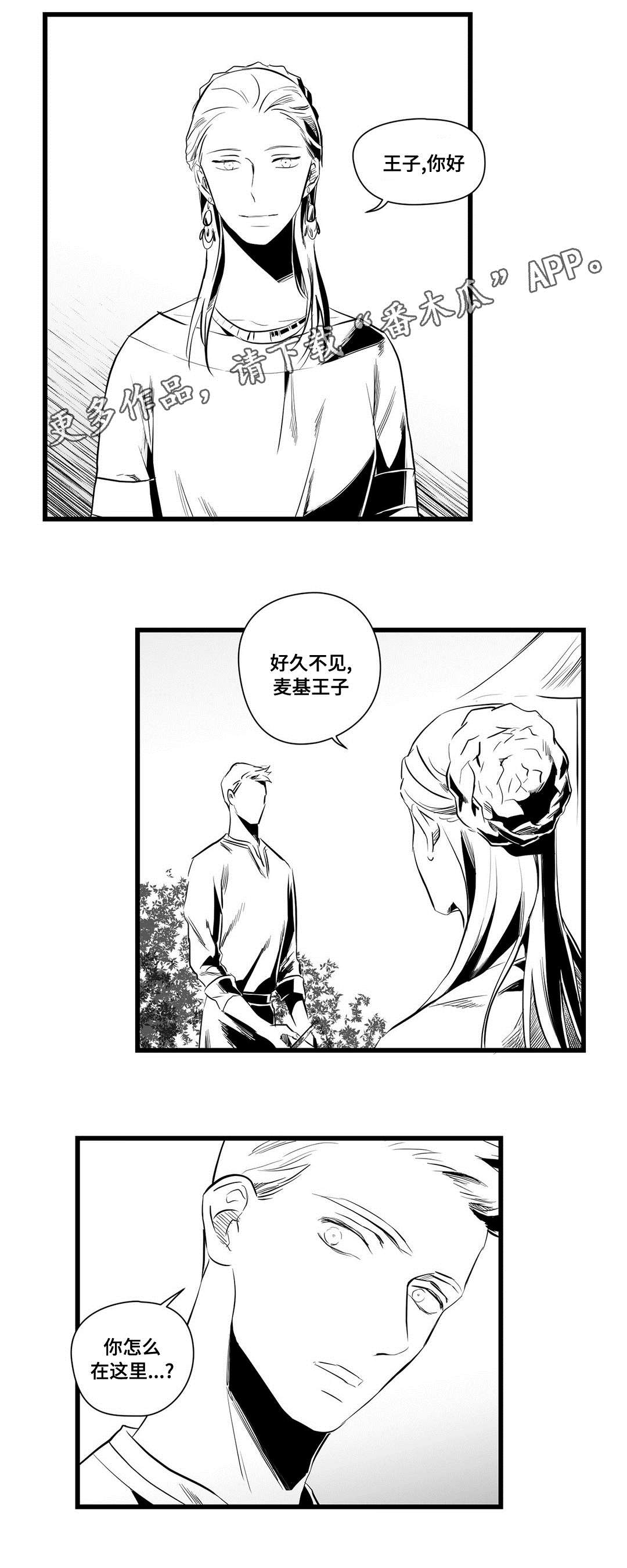 《巫师与王子》漫画最新章节第36章：隐瞒着什么免费下拉式在线观看章节第【10】张图片