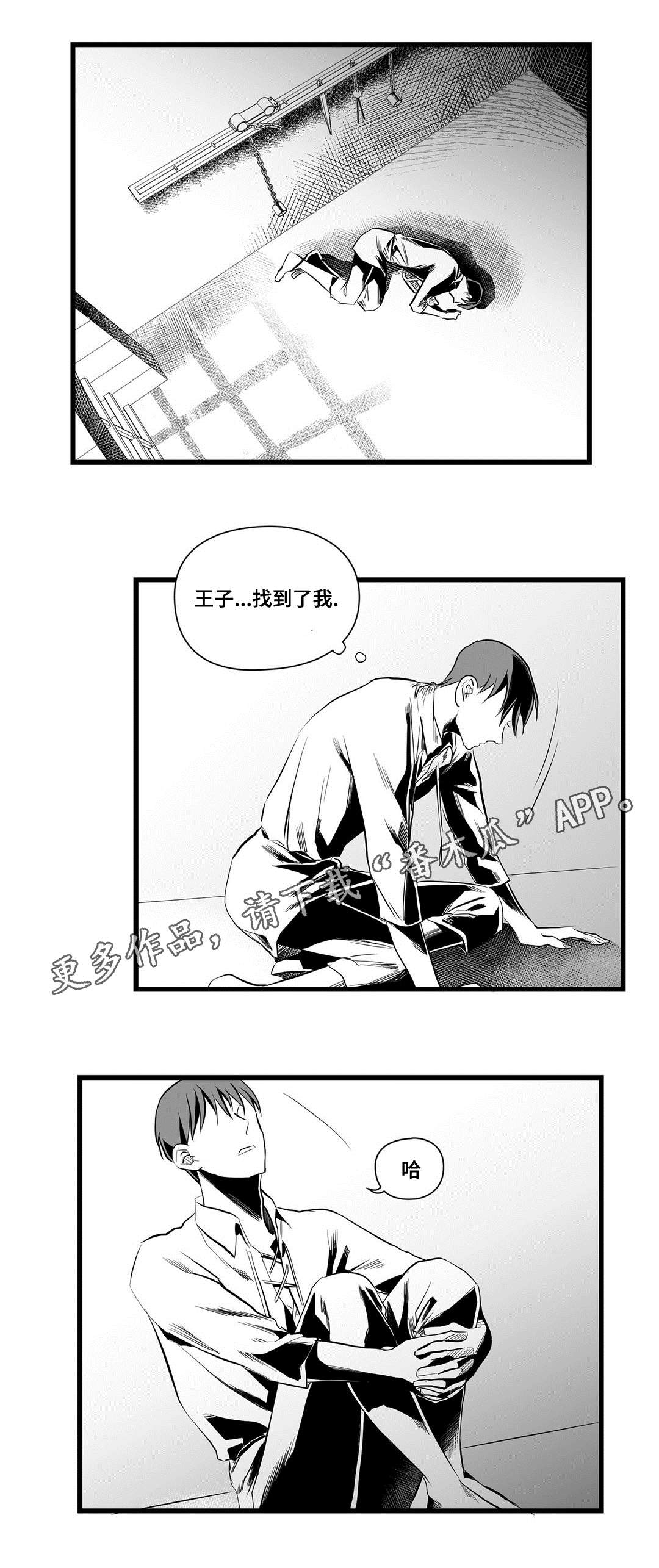 《巫师与王子》漫画最新章节第36章：隐瞒着什么免费下拉式在线观看章节第【12】张图片