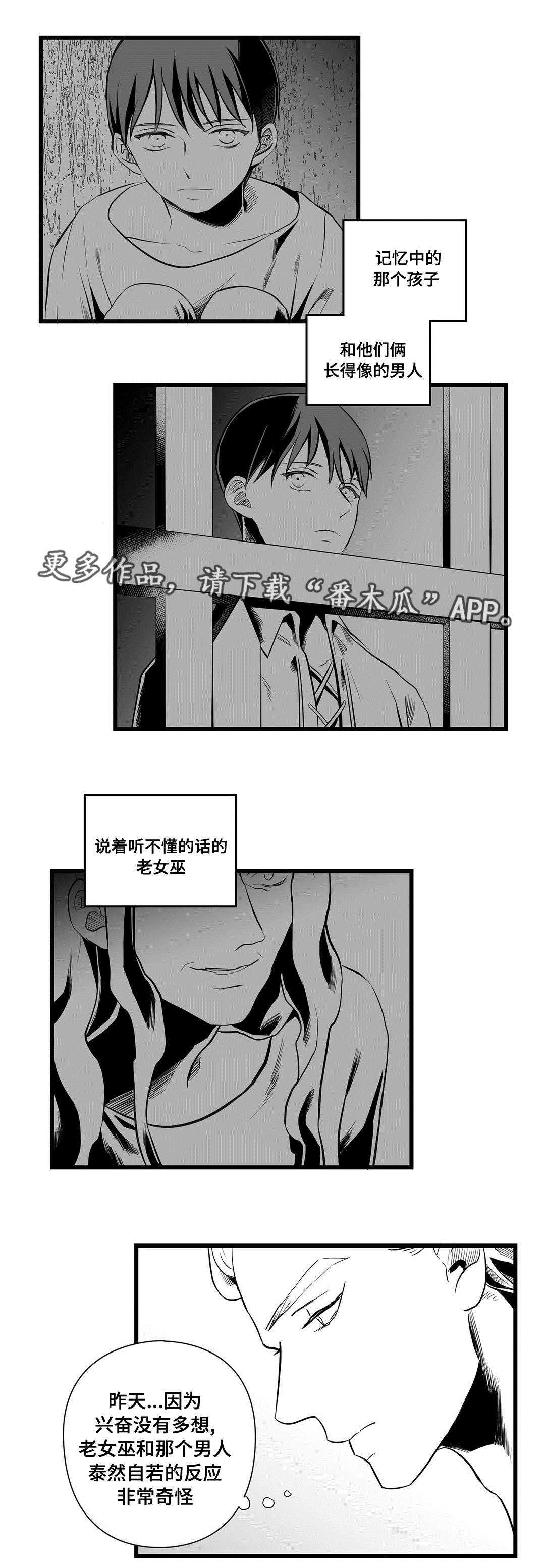 《巫师与王子》漫画最新章节第36章：隐瞒着什么免费下拉式在线观看章节第【17】张图片