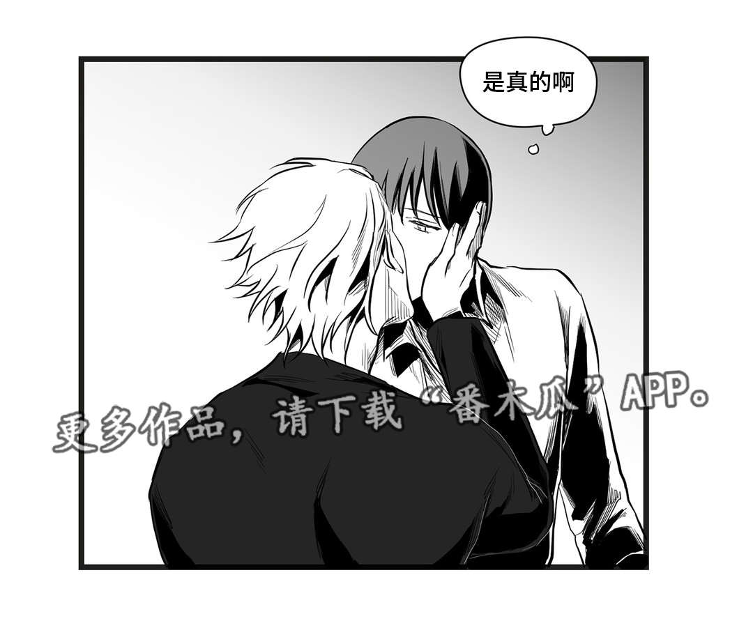 《巫师与王子》漫画最新章节第38章：代替免费下拉式在线观看章节第【10】张图片