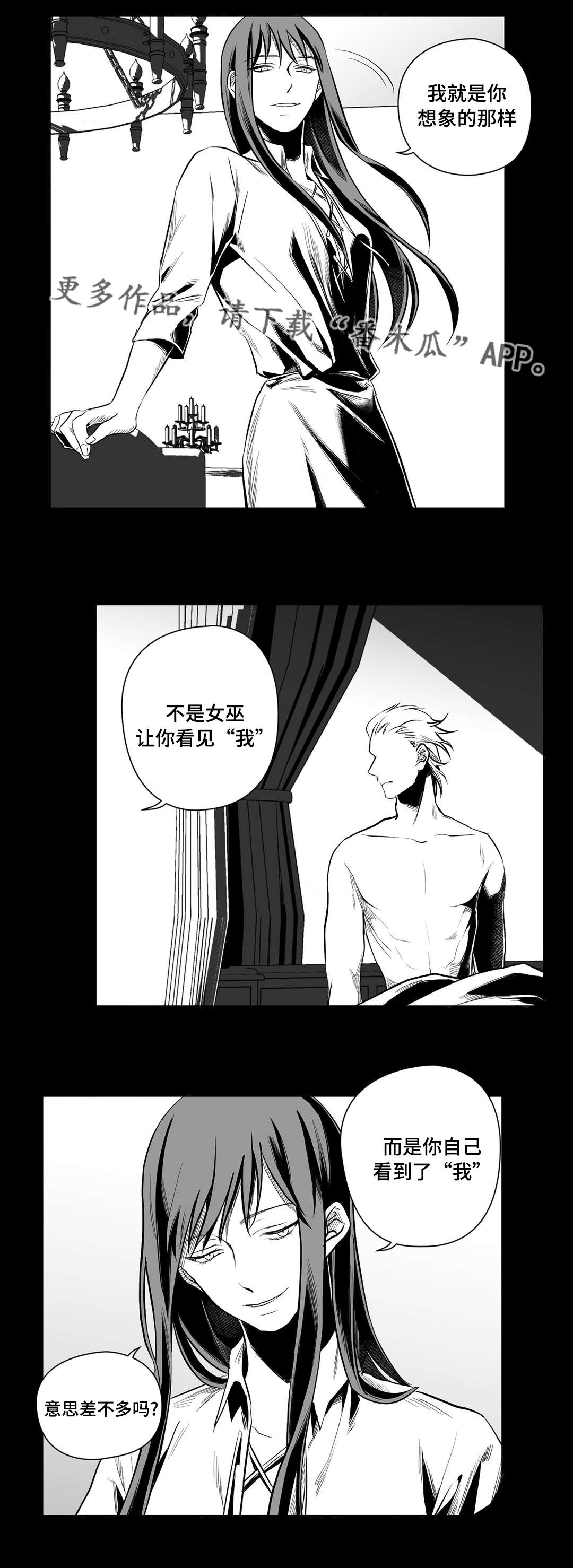 《巫师与王子》漫画最新章节第38章：代替免费下拉式在线观看章节第【12】张图片