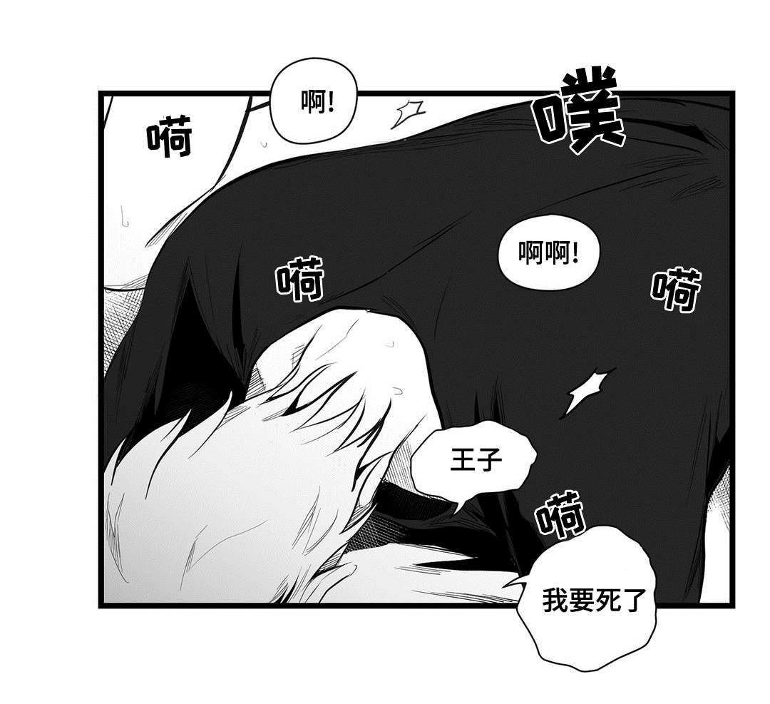 《巫师与王子》漫画最新章节第39章：喜欢你免费下拉式在线观看章节第【13】张图片