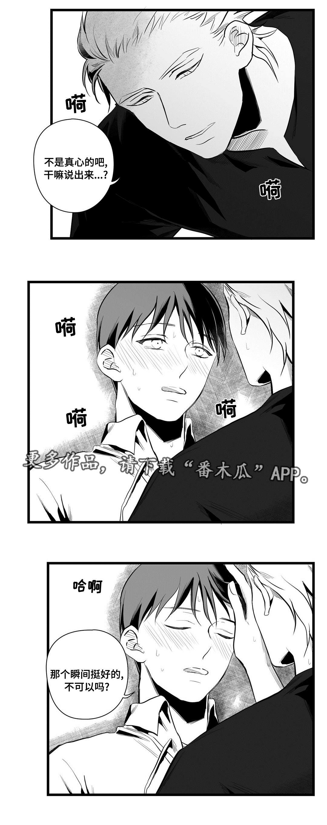 《巫师与王子》漫画最新章节第39章：喜欢你免费下拉式在线观看章节第【6】张图片