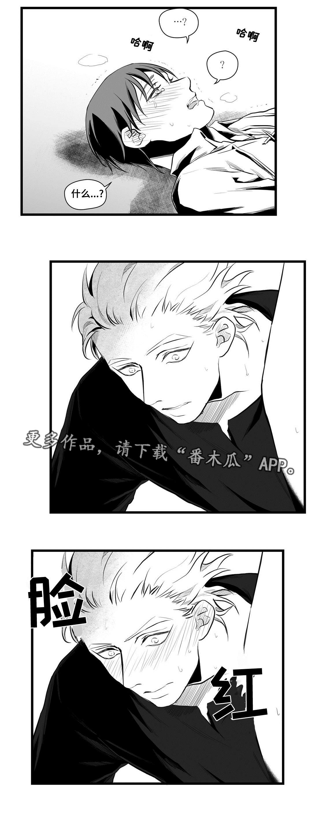 《巫师与王子》漫画最新章节第39章：喜欢你免费下拉式在线观看章节第【9】张图片