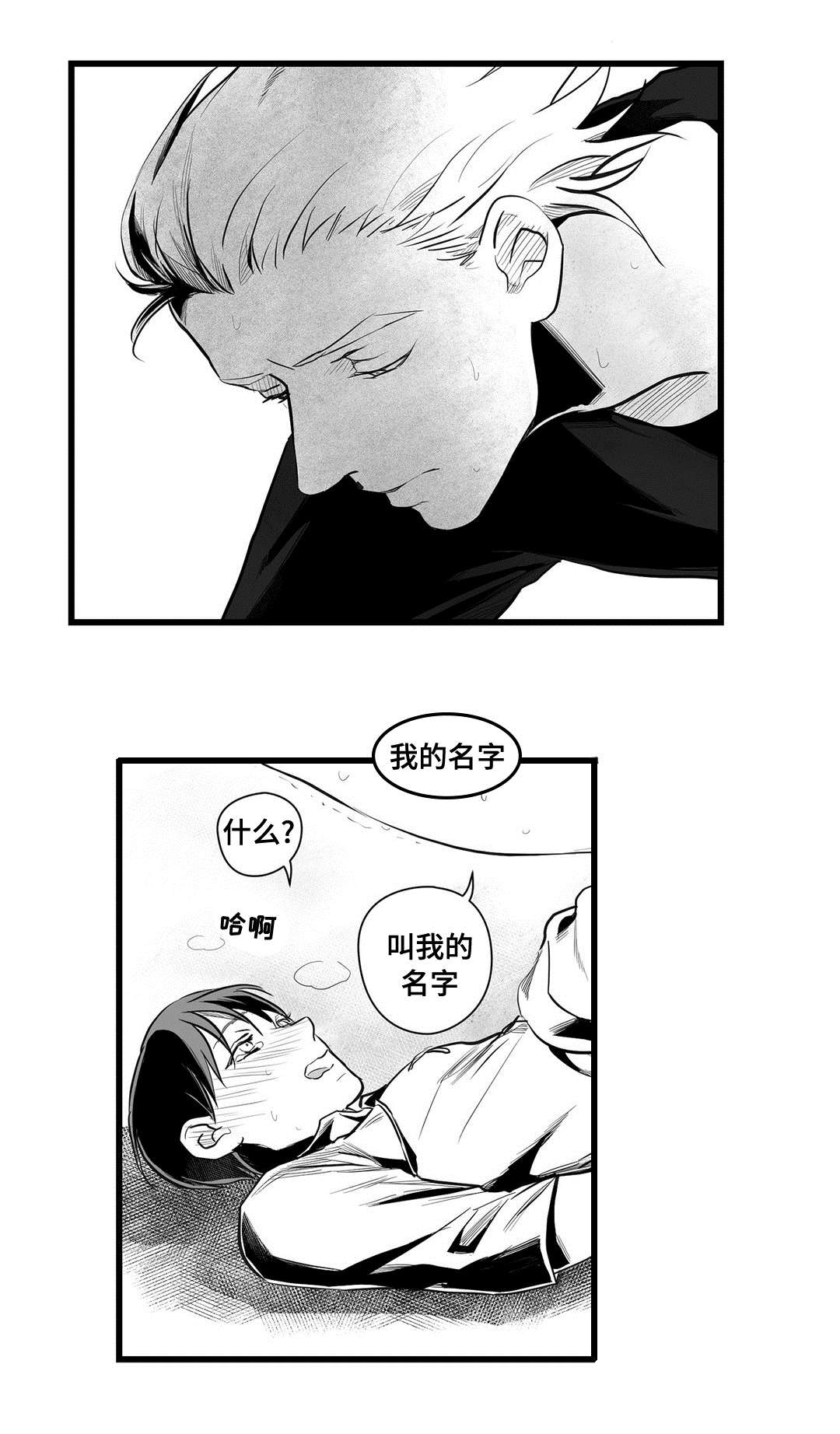 《巫师与王子》漫画最新章节第39章：喜欢你免费下拉式在线观看章节第【12】张图片