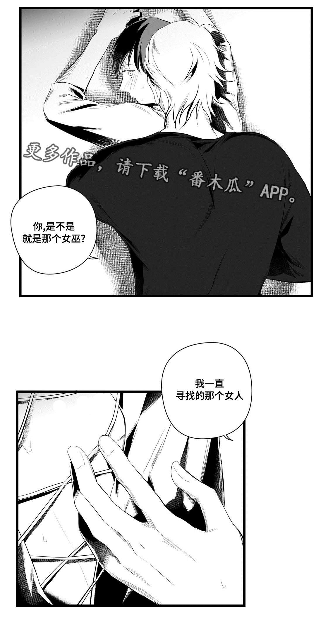 《巫师与王子》漫画最新章节第40章：在一起免费下拉式在线观看章节第【14】张图片