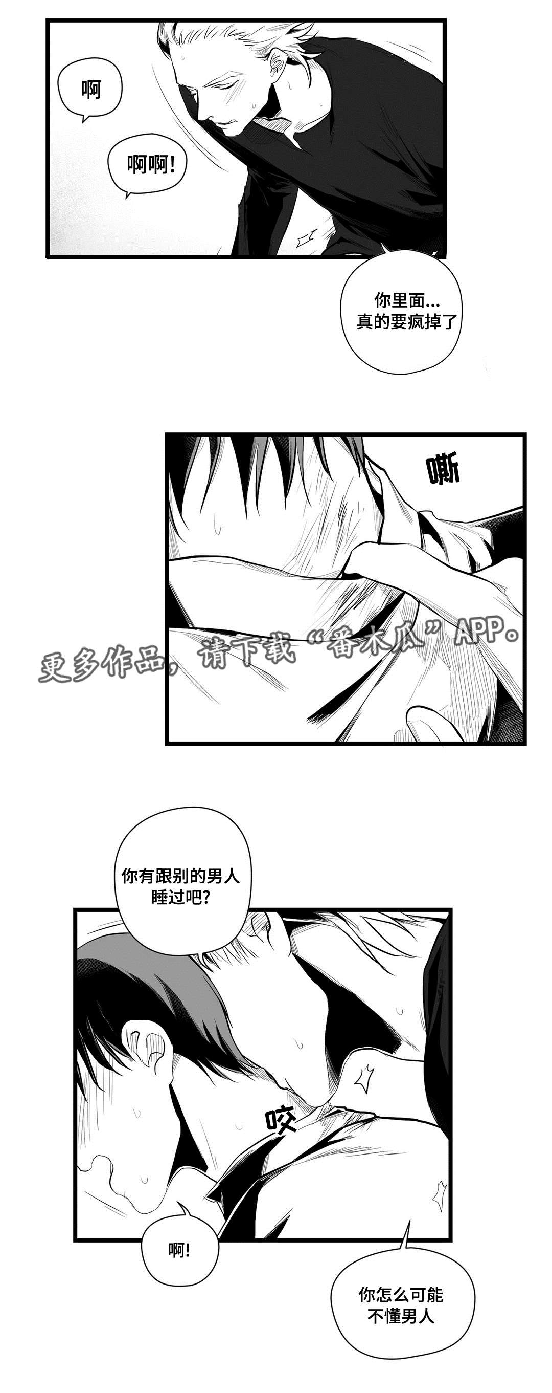 《巫师与王子》漫画最新章节第40章：在一起免费下拉式在线观看章节第【17】张图片