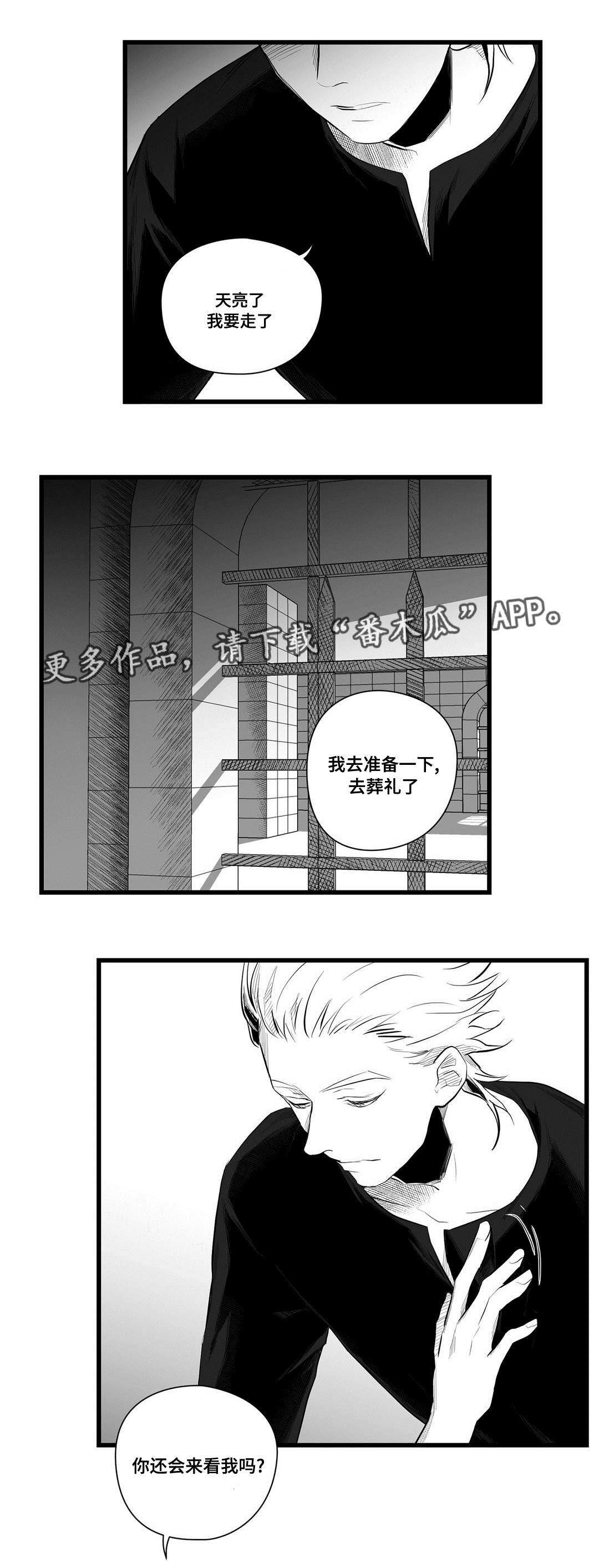 《巫师与王子》漫画最新章节第41章：何去何从免费下拉式在线观看章节第【9】张图片